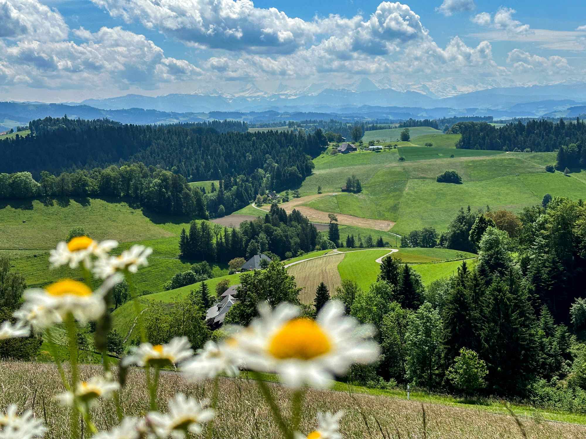 Lueg Aussicht