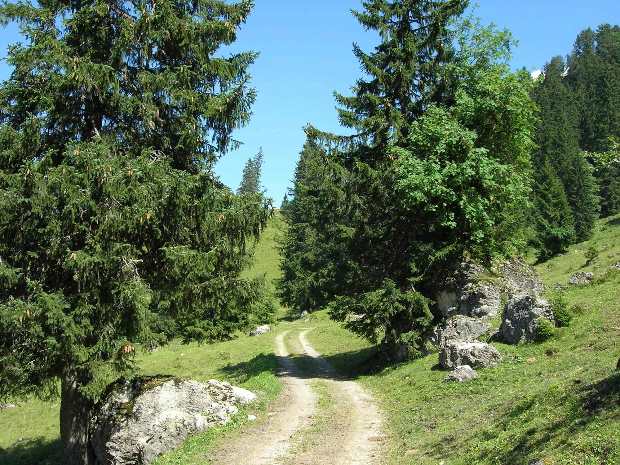 Wanderung rund um den Roggenstock