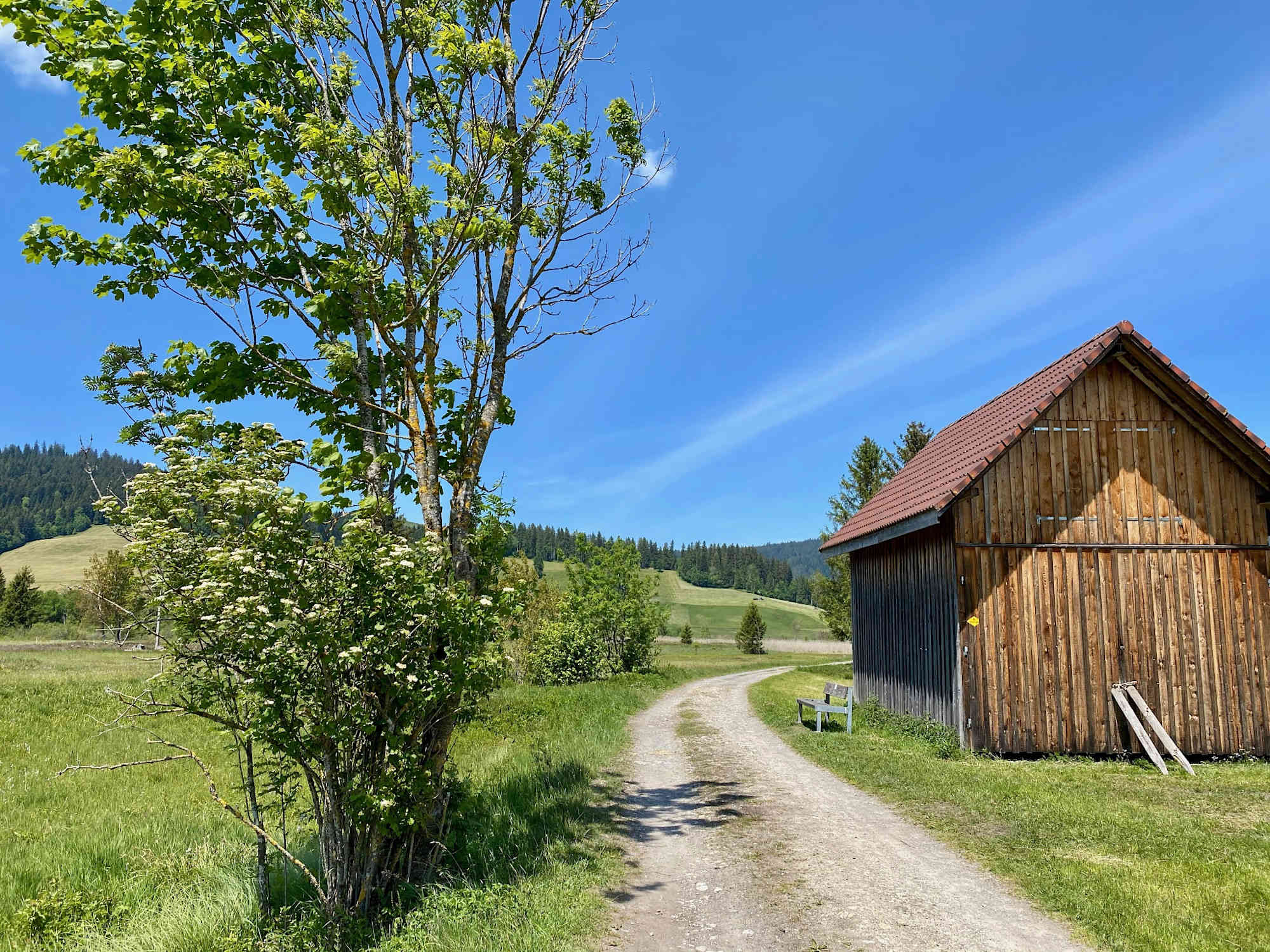 Frühlingswanderung