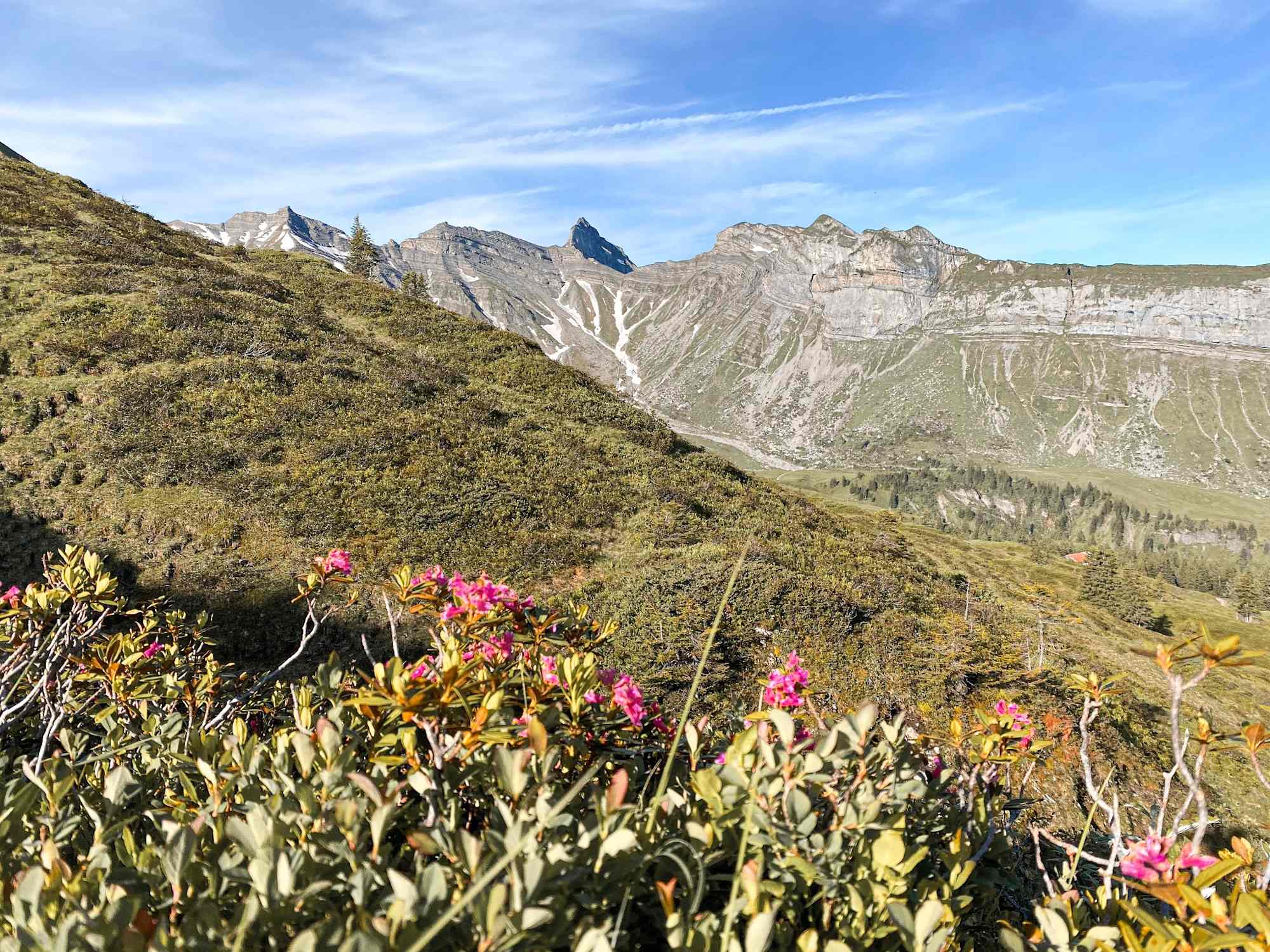 Fauna und Flora auf dem Wanderweg zum Sihlseeli
