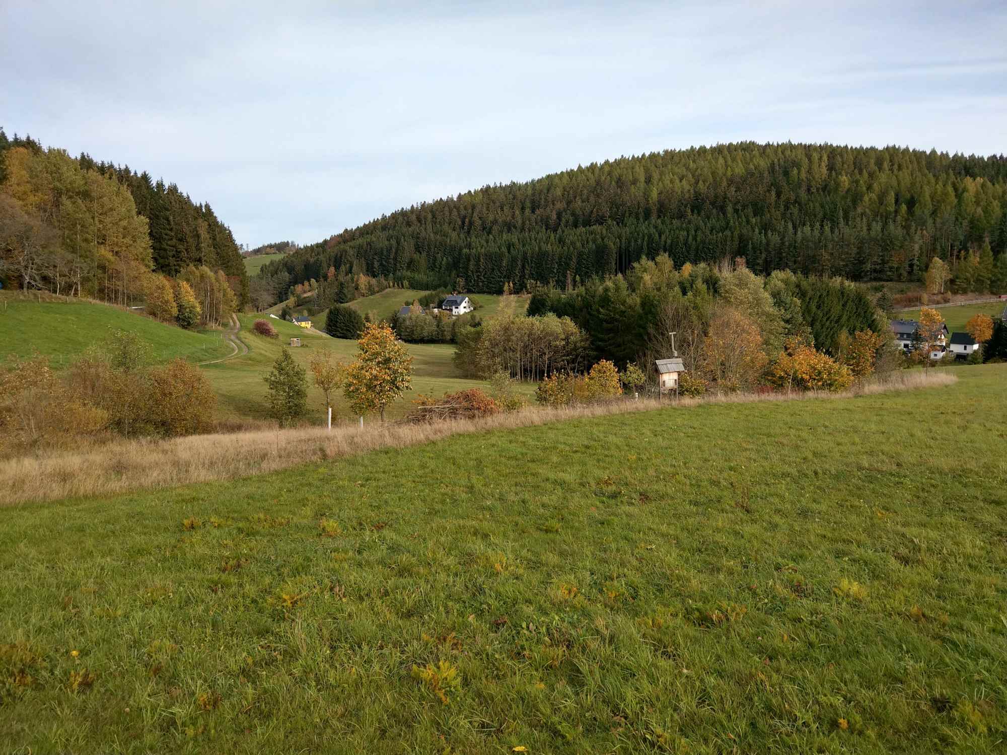 Köhlerlehrpfad Sosa