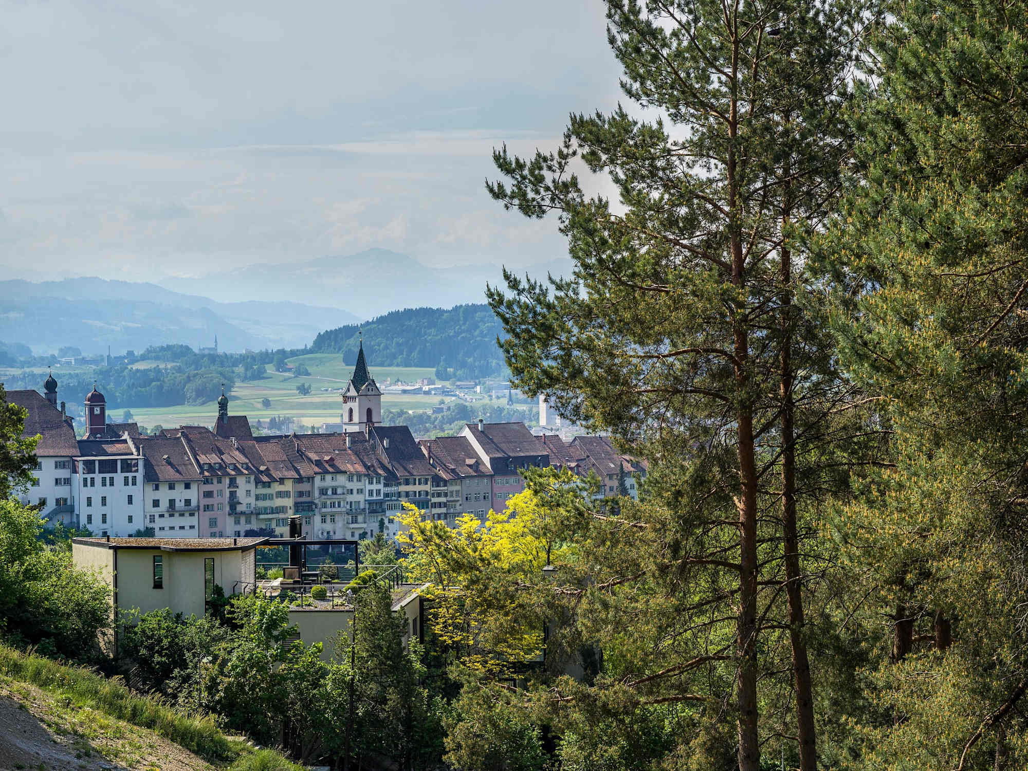 Blick auf die Altstadt inkl. Rathaus