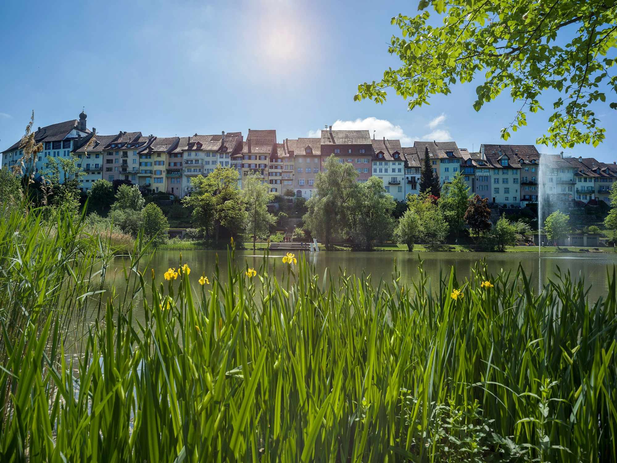 Stadtweiher und Altstadt Wil