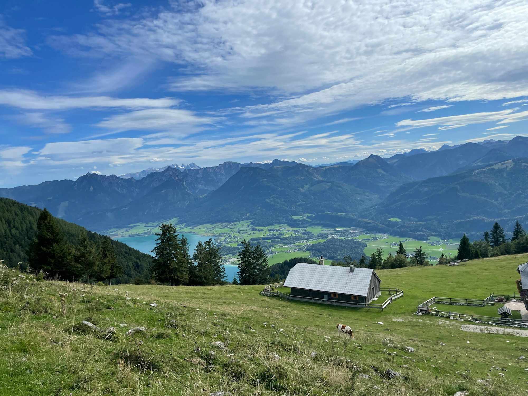 Wanderung von Winkl auf den Schafberg mit Blick auf den Wolfgangsee