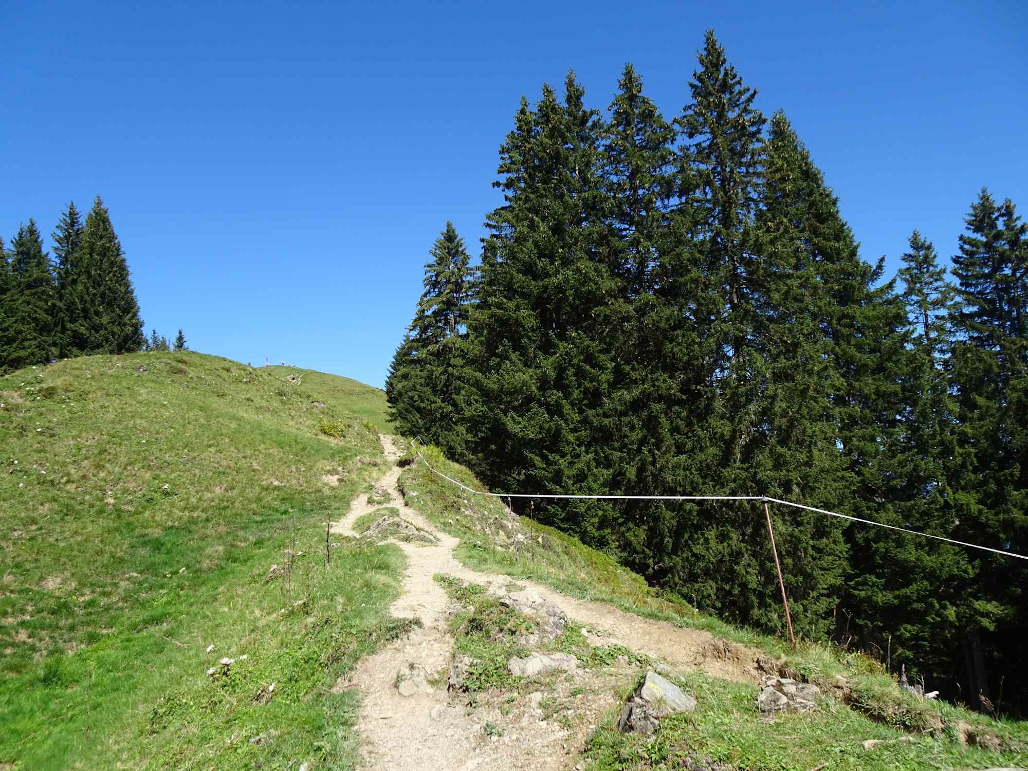 In der Hörnergruppe