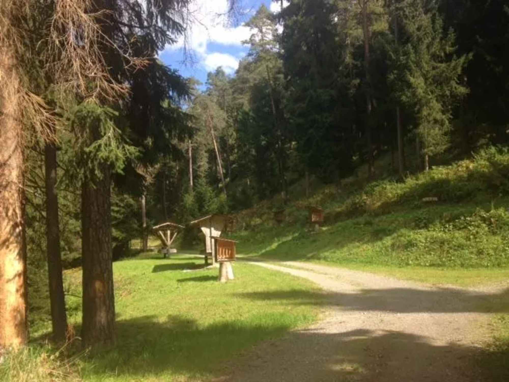 Auf der Wanderung kommt man auch an einer idyllisch gelegenen Wildfütterung vorbei.