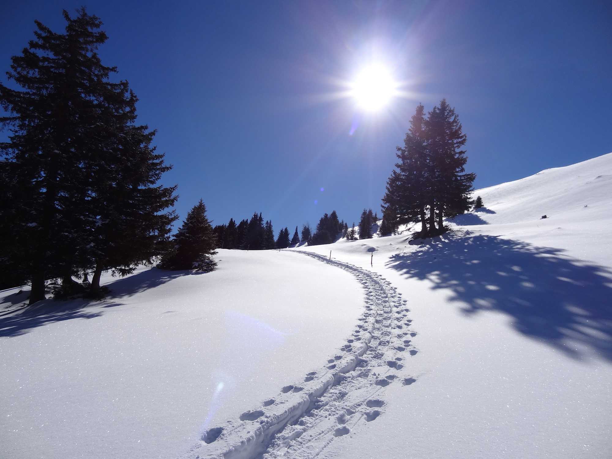 Wintersonne am Buchserberg