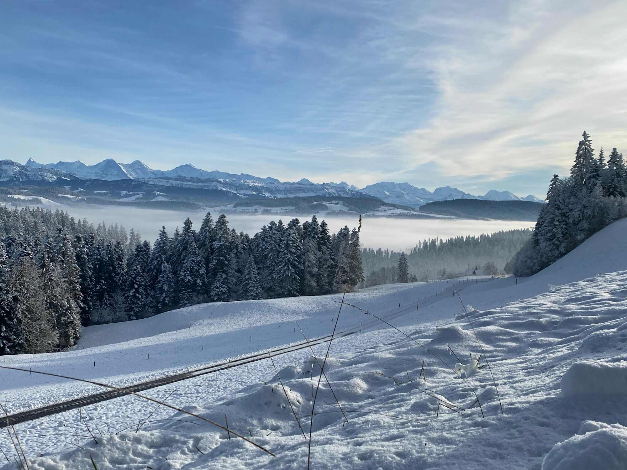 Auf der Winterwanderung zur Blasenfluh