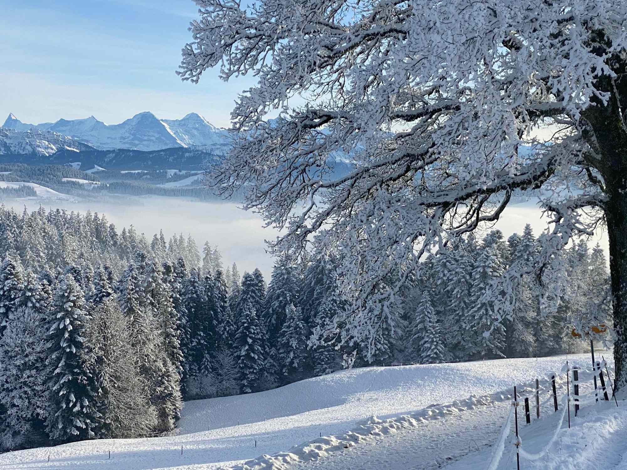 Wunderbare Winterlandschaft