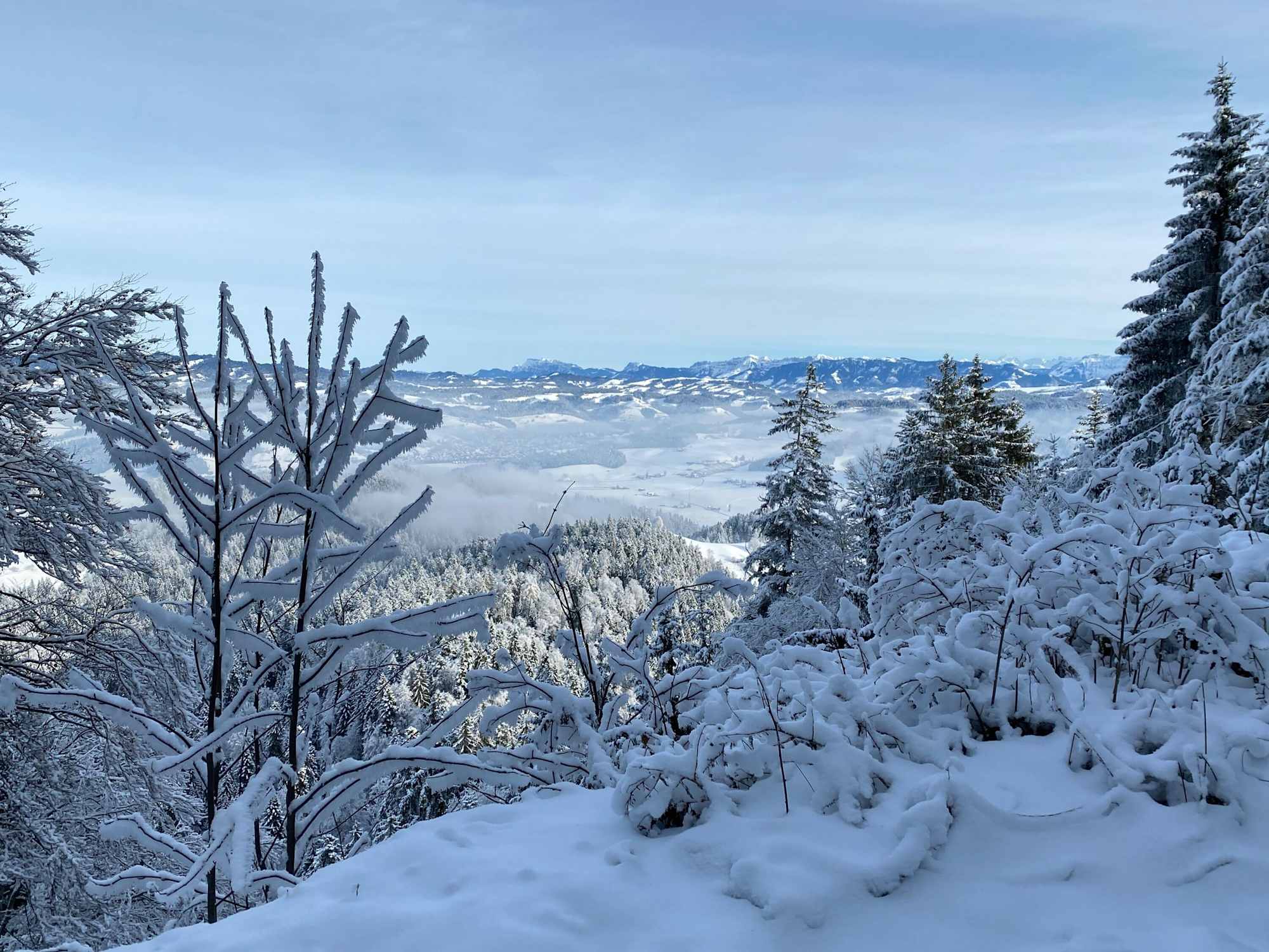 Schöner Ausblick