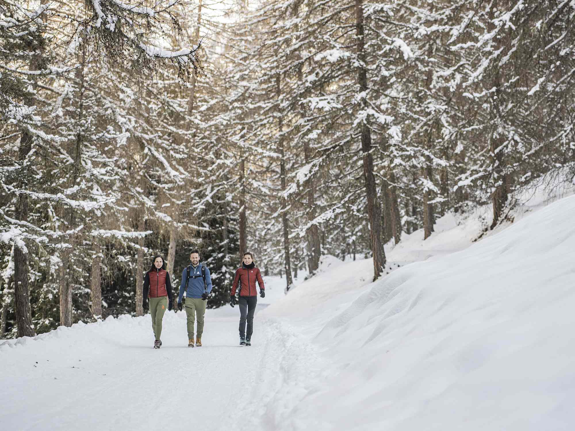 Winterwanderung Haidenberg