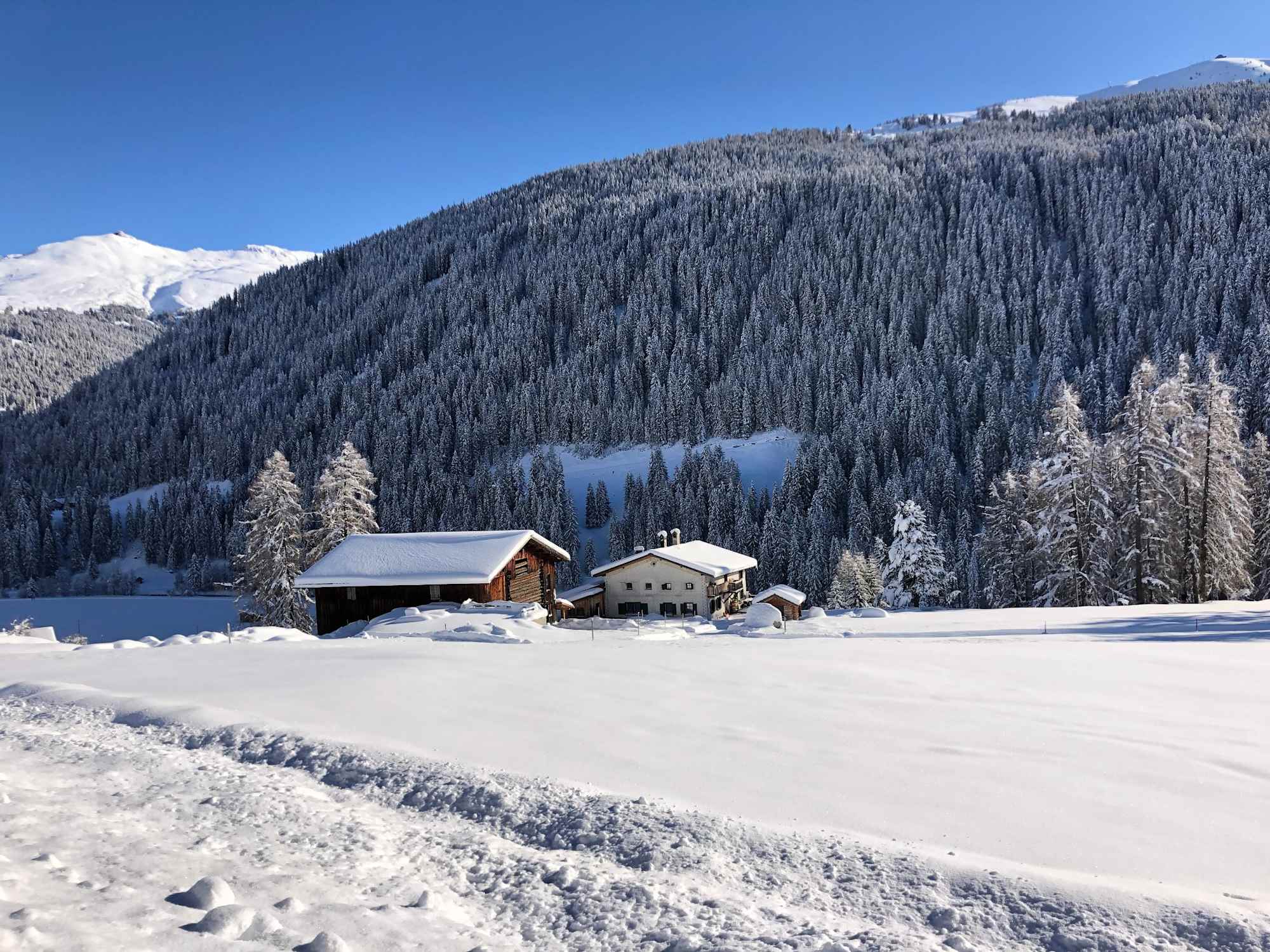 Schöne Winterlandschaft auf der Wanderung