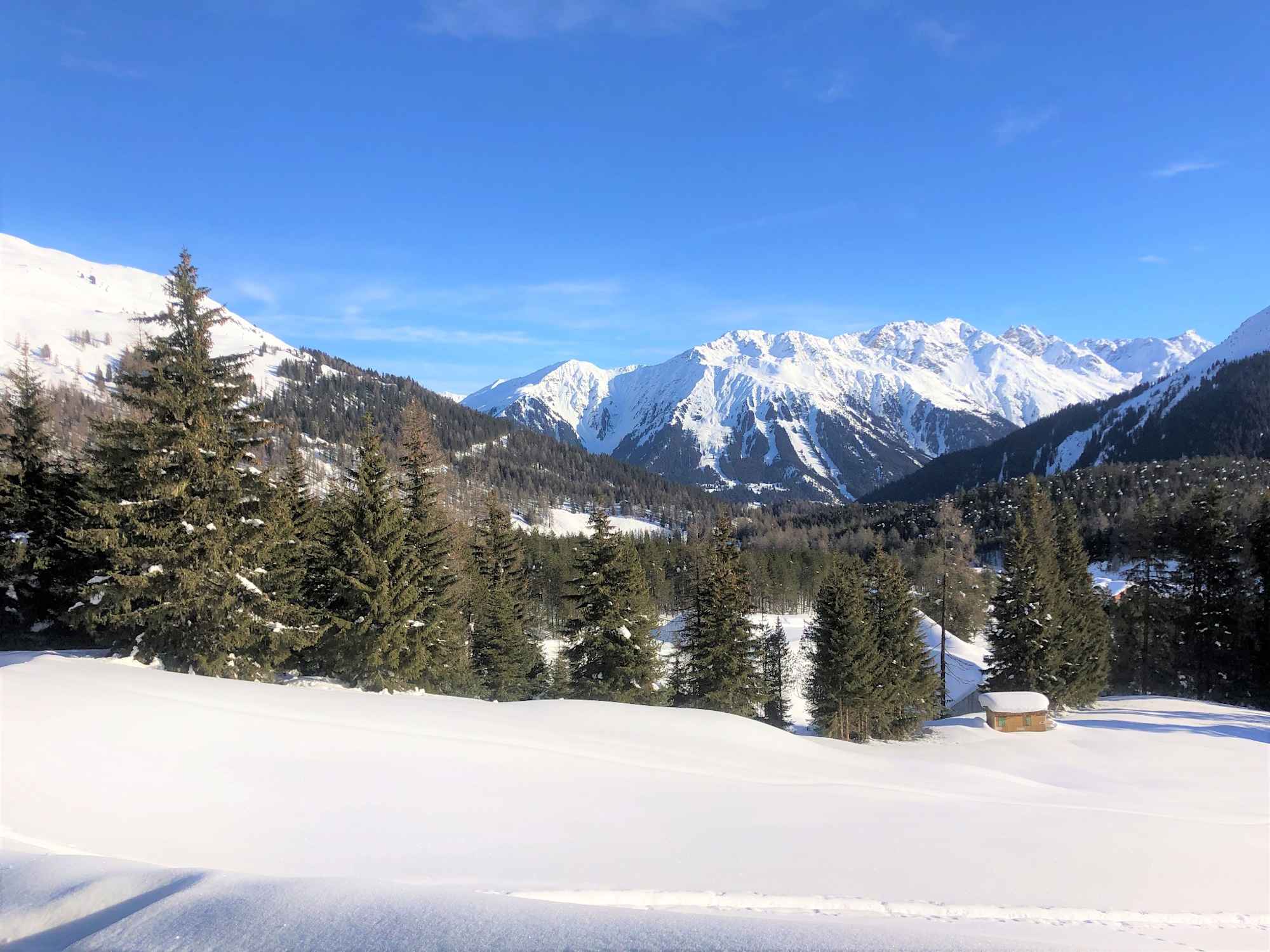 Der Weg führt durch eine tolle Winterlandschaft