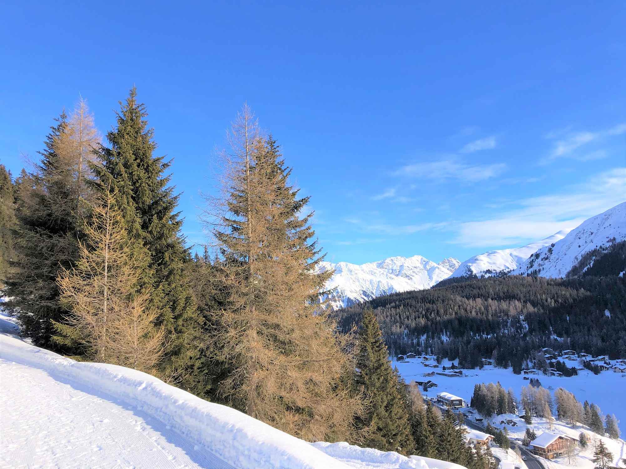Schöne Ausblicke vom Winterwanderweg