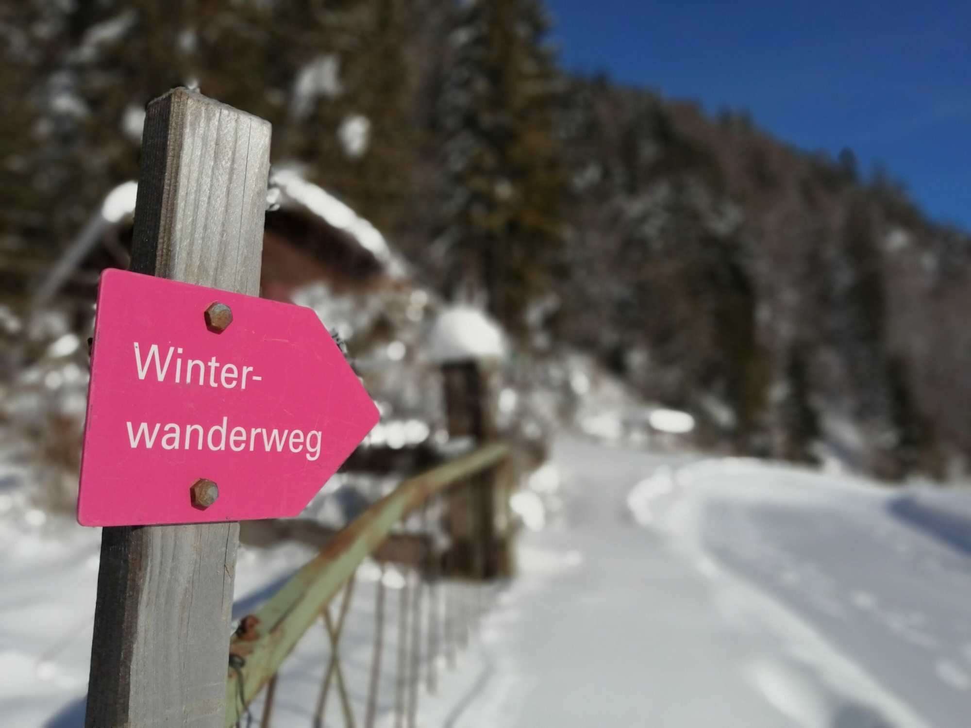 Winterwanderweg von Dalaas nach Wald