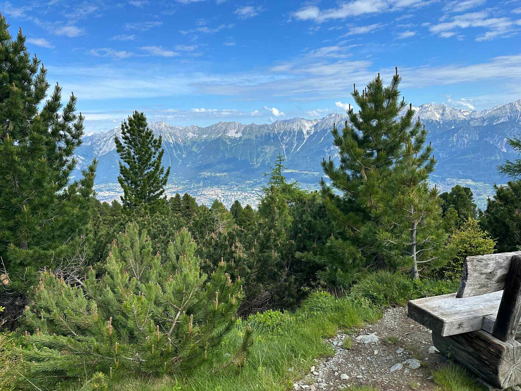 Der Zirbenweg zählt zu den absoluten Genusstouren in Tirol.