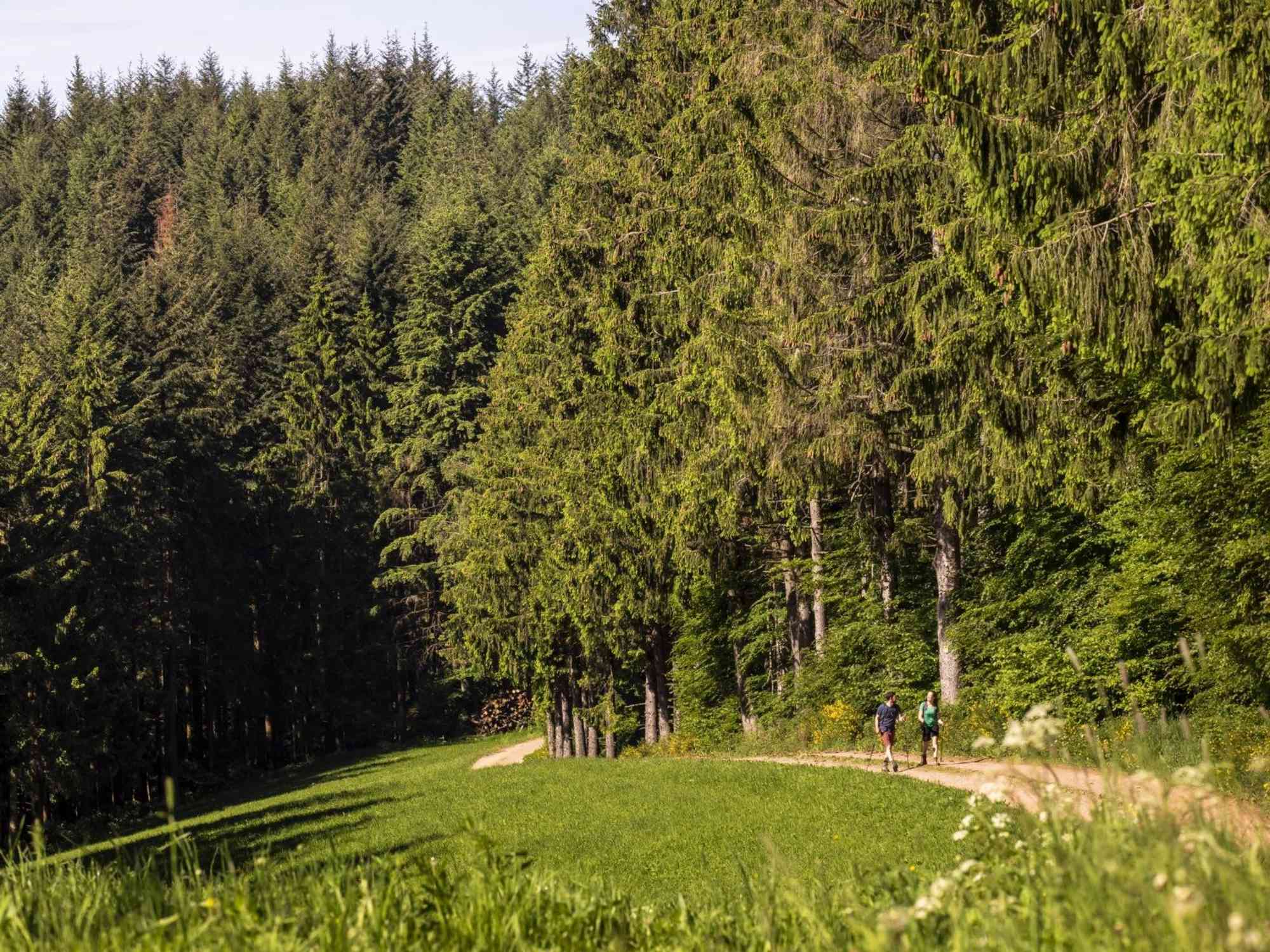 Zweitälersteig Etappe 4