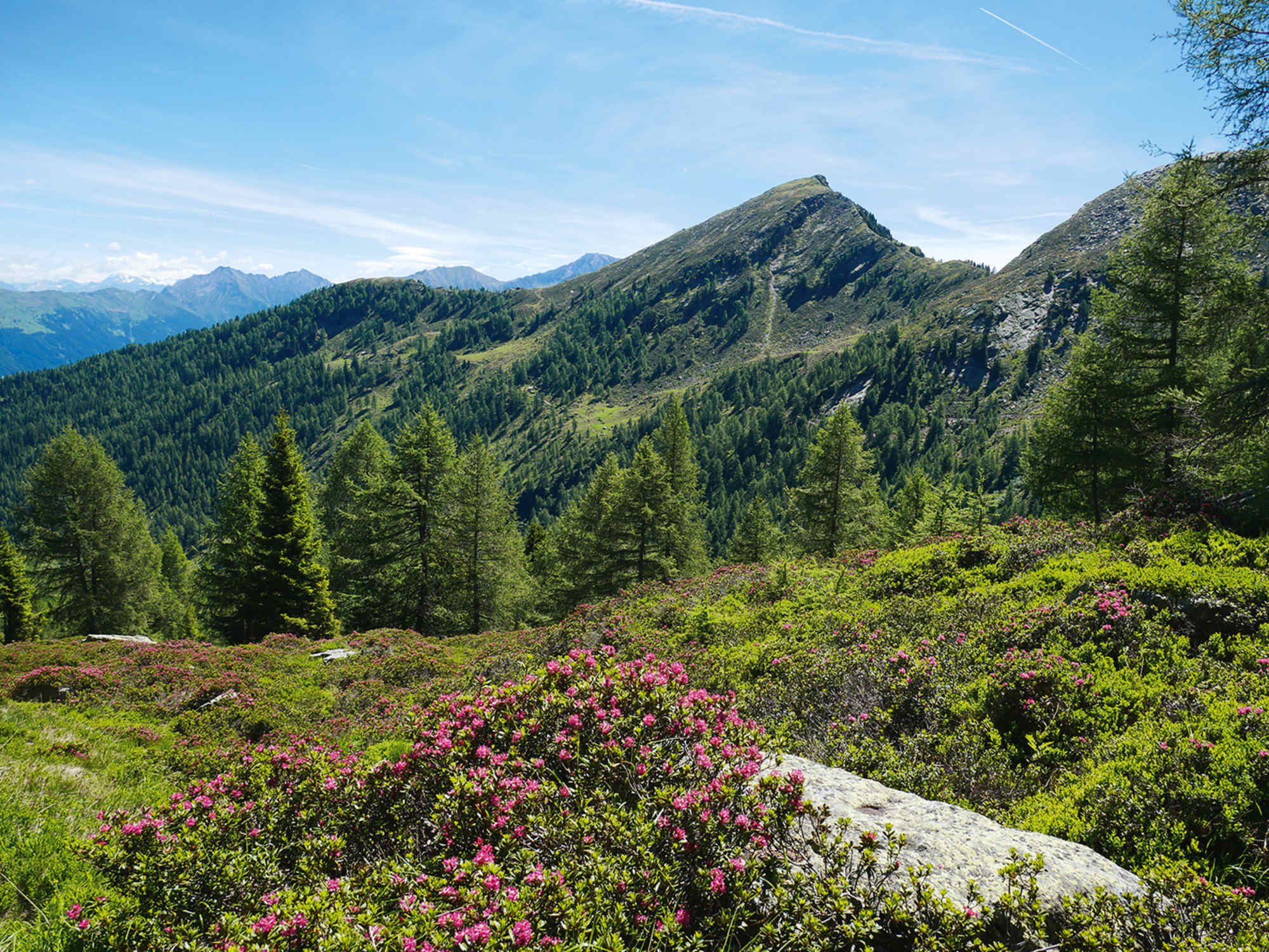 Die Matatzspitze, von Nordwesten gesehen.