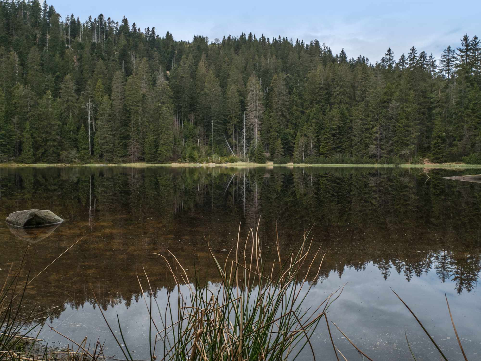 Wilder See