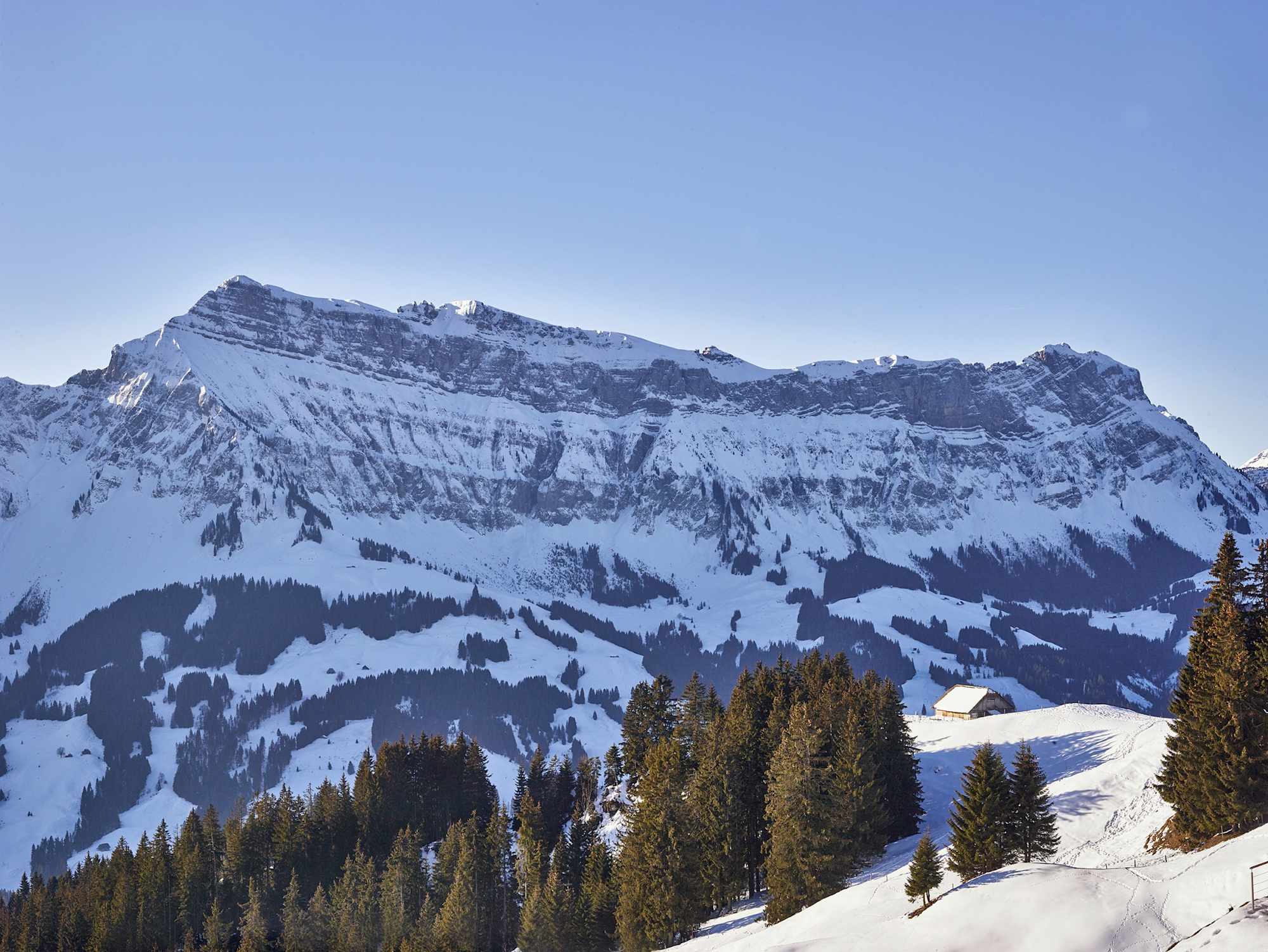 Spuren im Schnee, im Hintergrund die Schrattenfluh