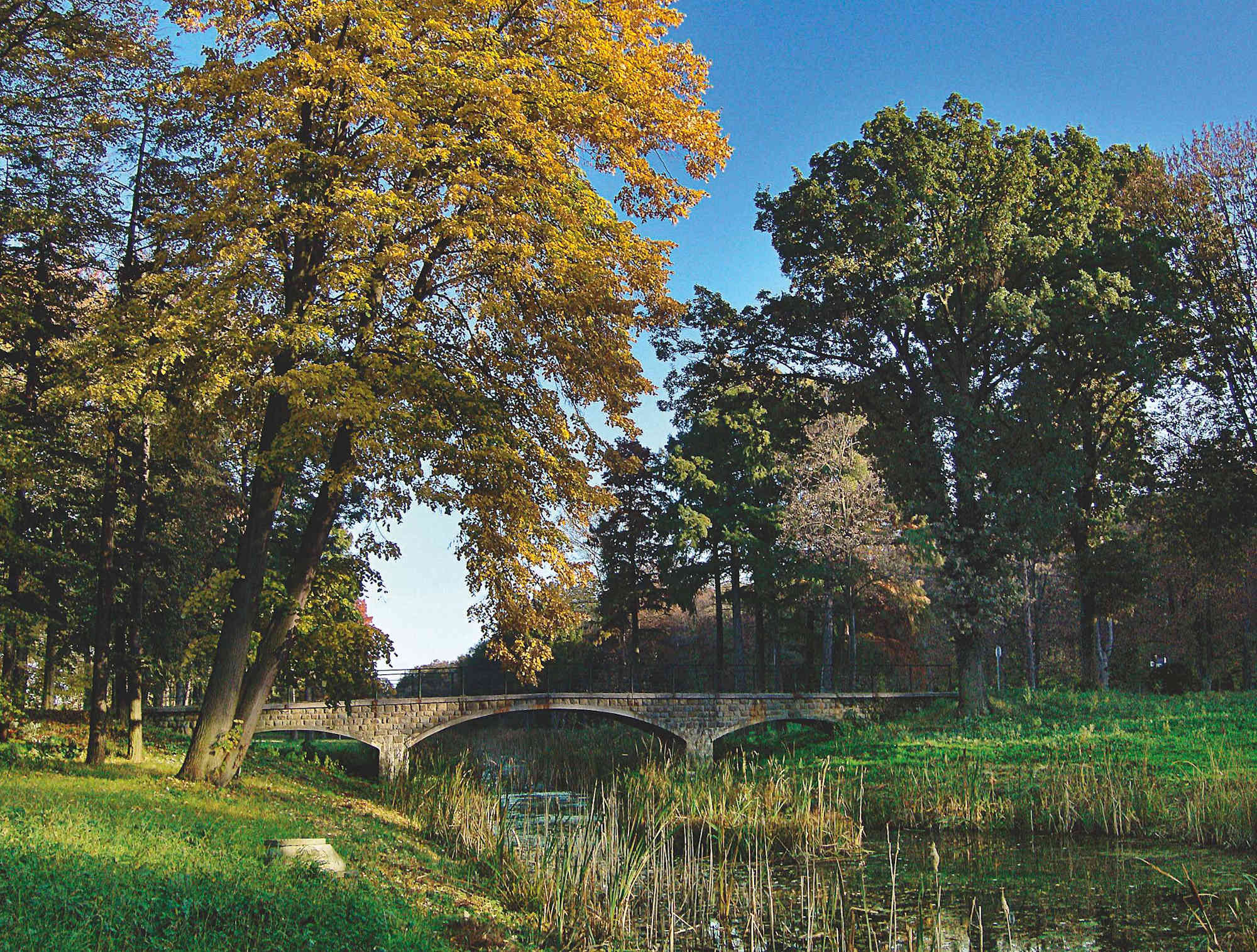 Nordufer Schlossgarten Eckartsau