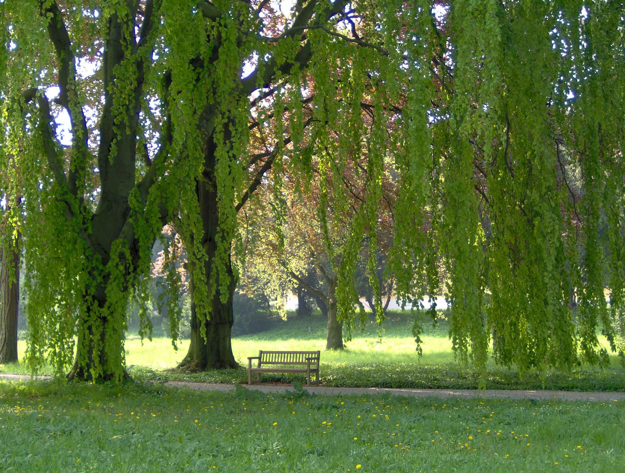 Nordufer Schloss Eckartsau
