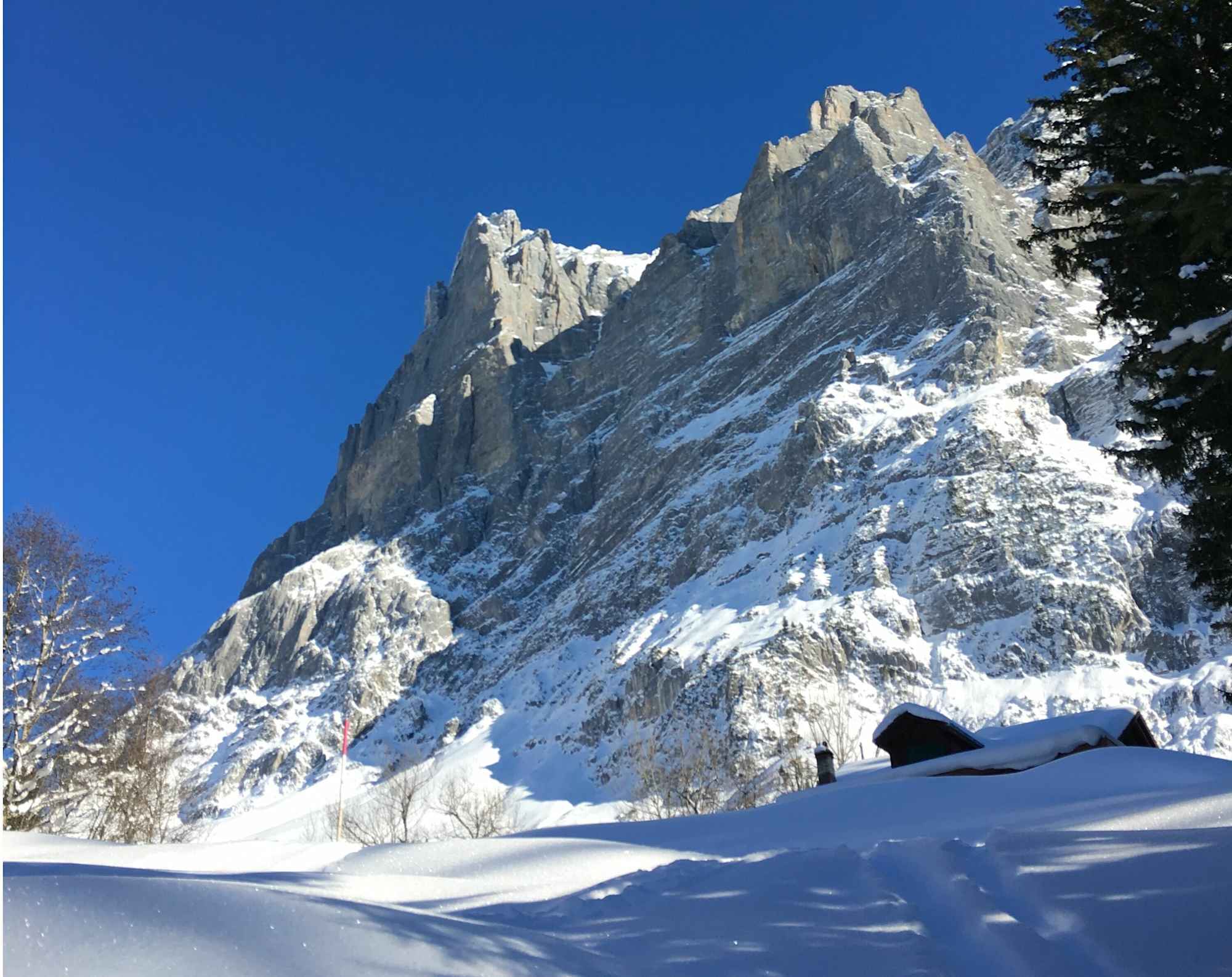 Winterwonderland auf dem Wetterhorn Trail