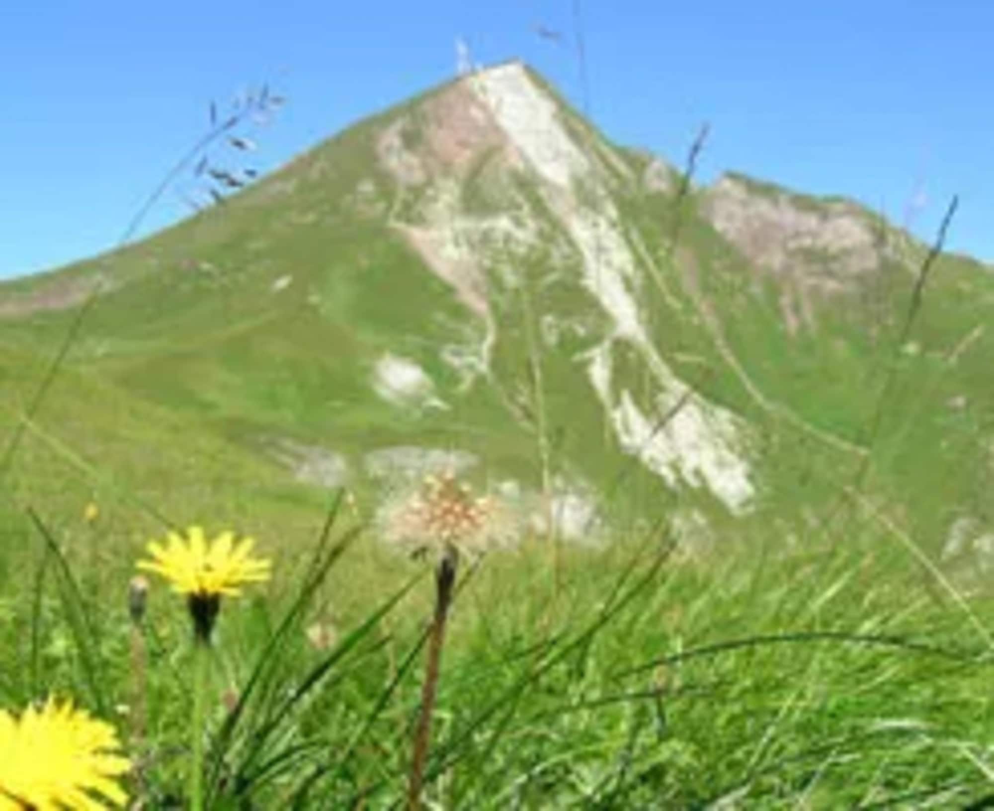 Die Jöchelspitze
