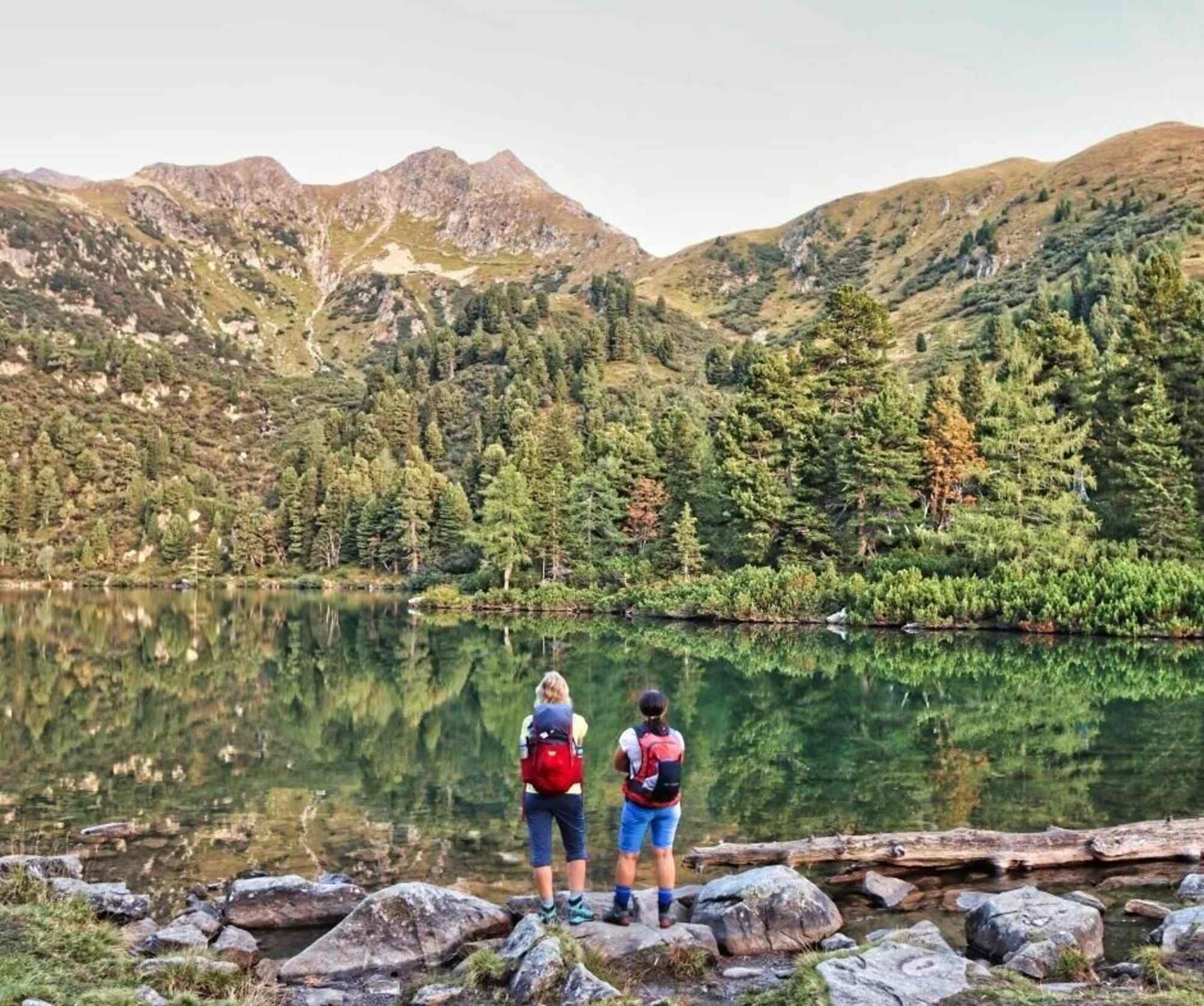 Morgenstimmung am Großen Scheiblsee