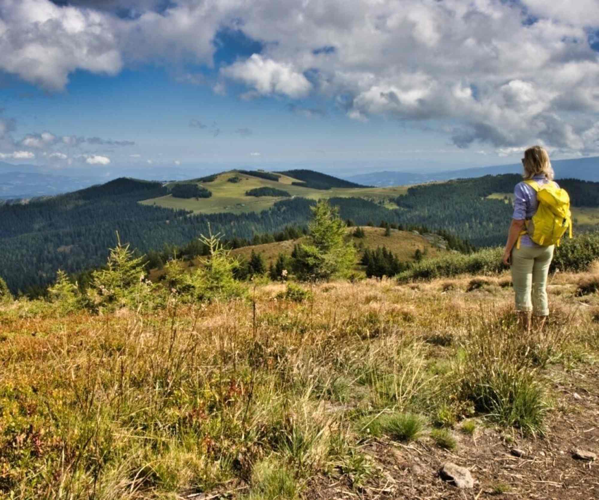 Blick zurück auf die Almen