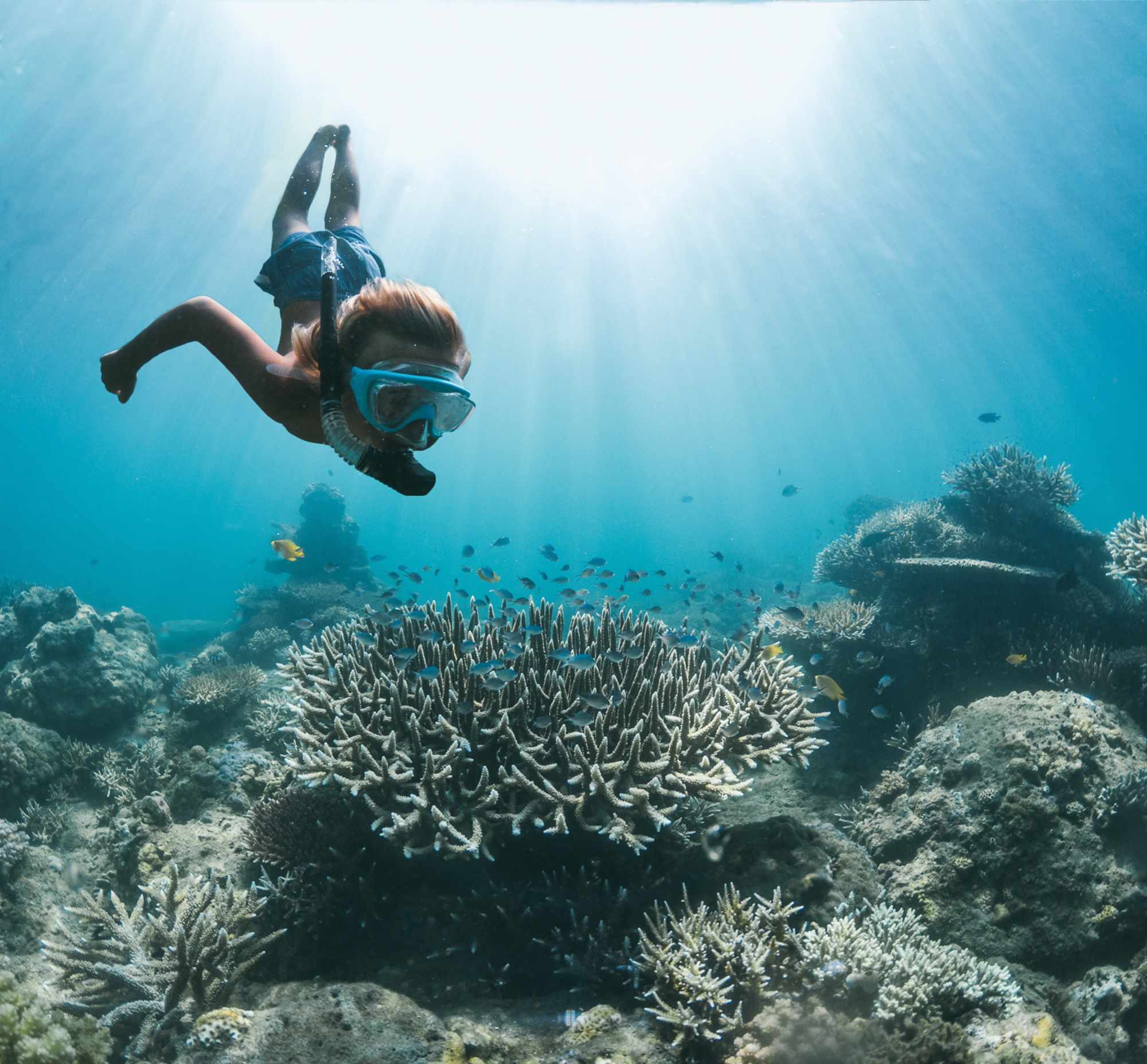 Lennox beim Tauchen auf Sumbawa