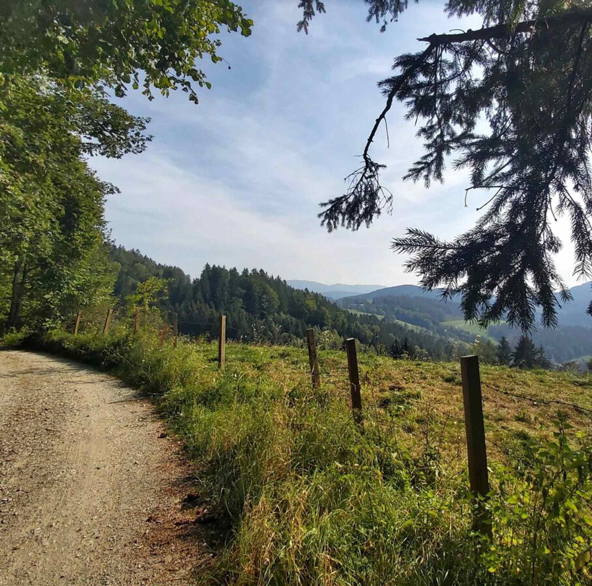 Weg zwischen Nechnitz und Rechberg