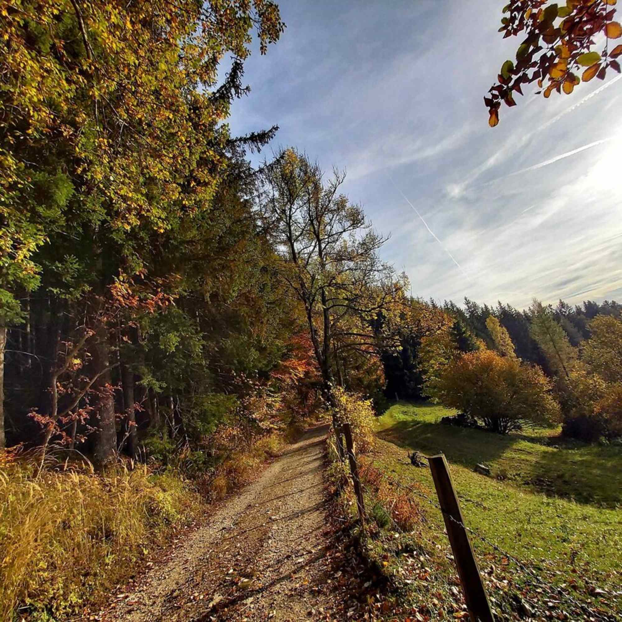 In Richtung Rechberg, Naturpark Almenland