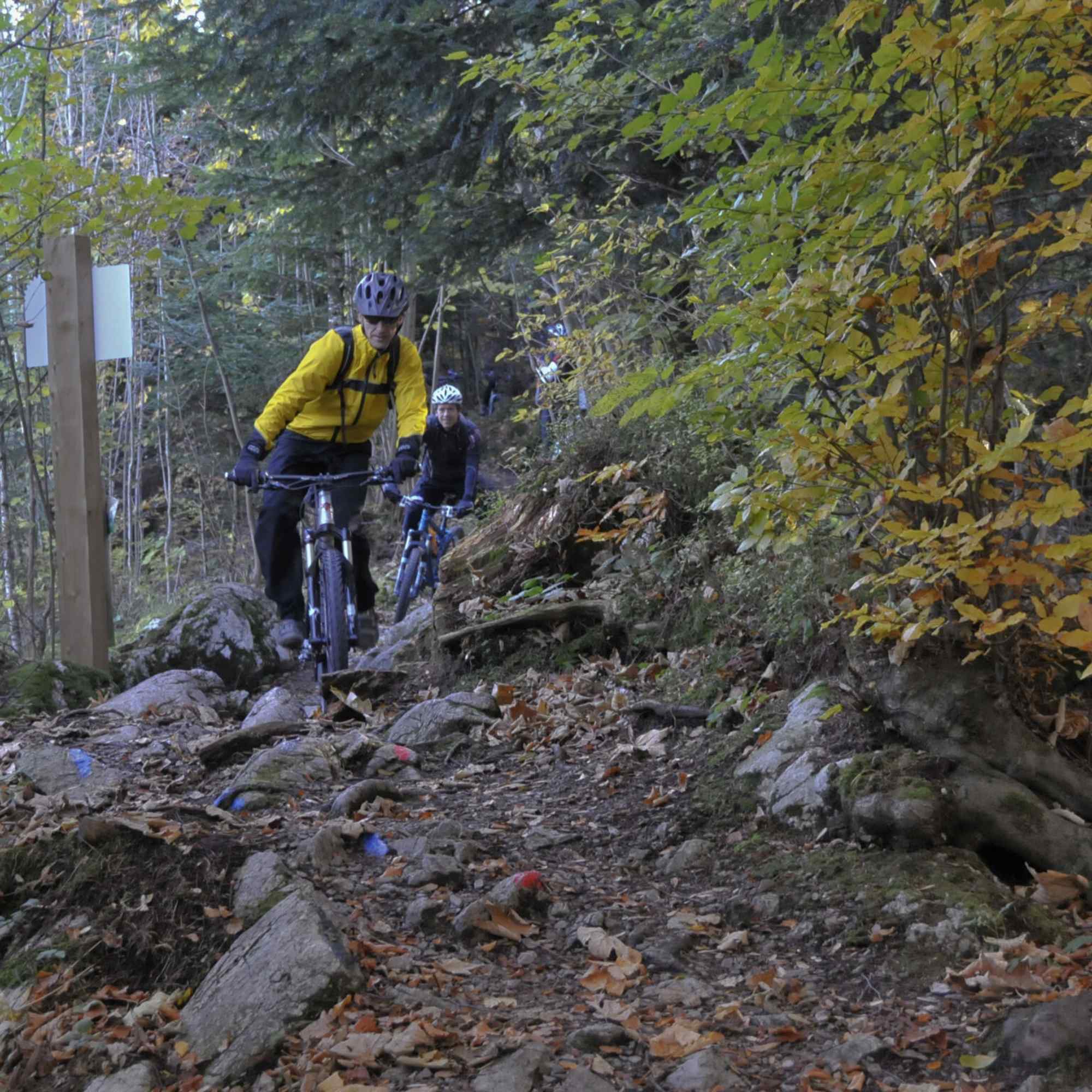 Seeblick Trail