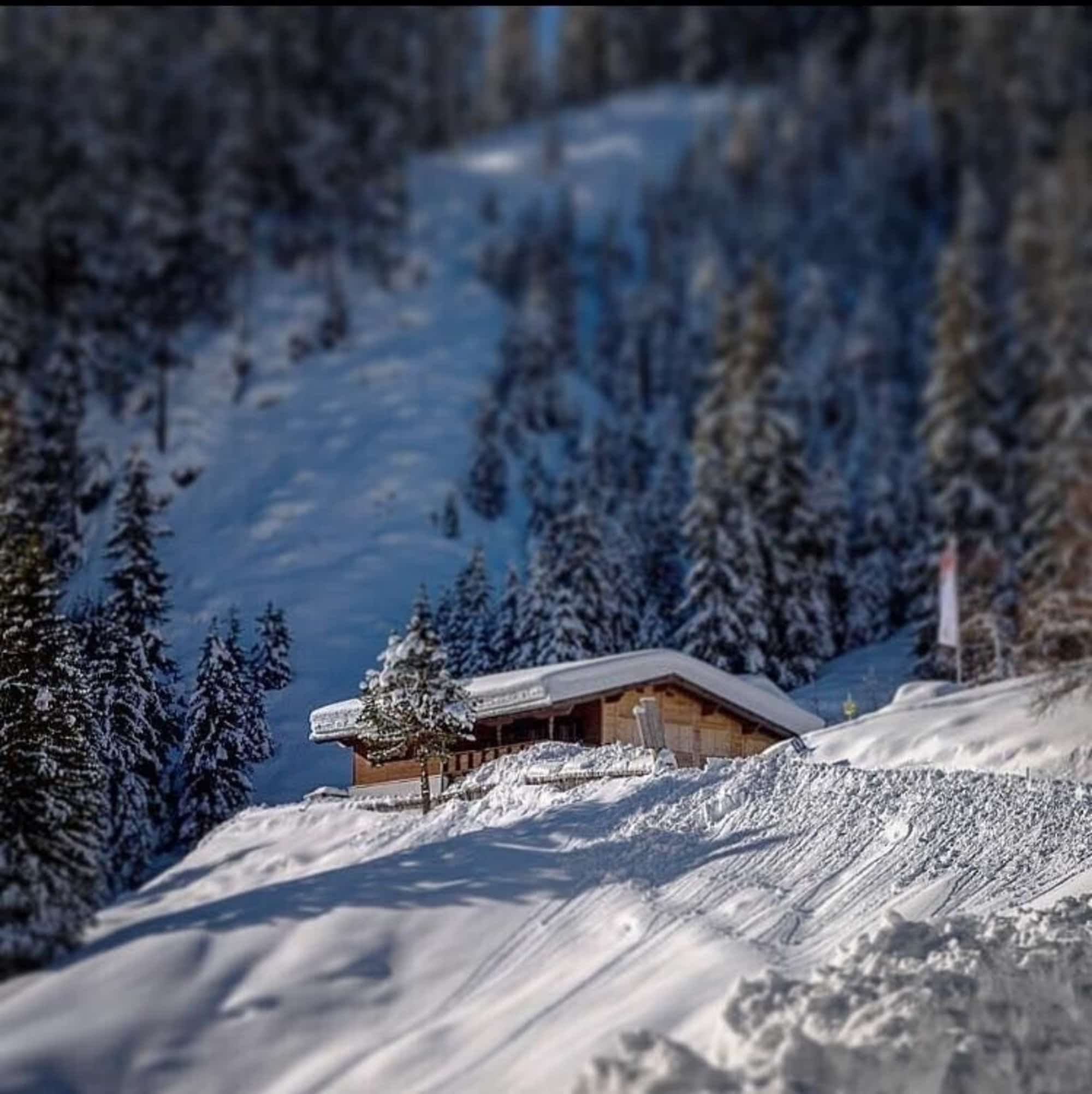 Die Milderaunalm im Stubaital