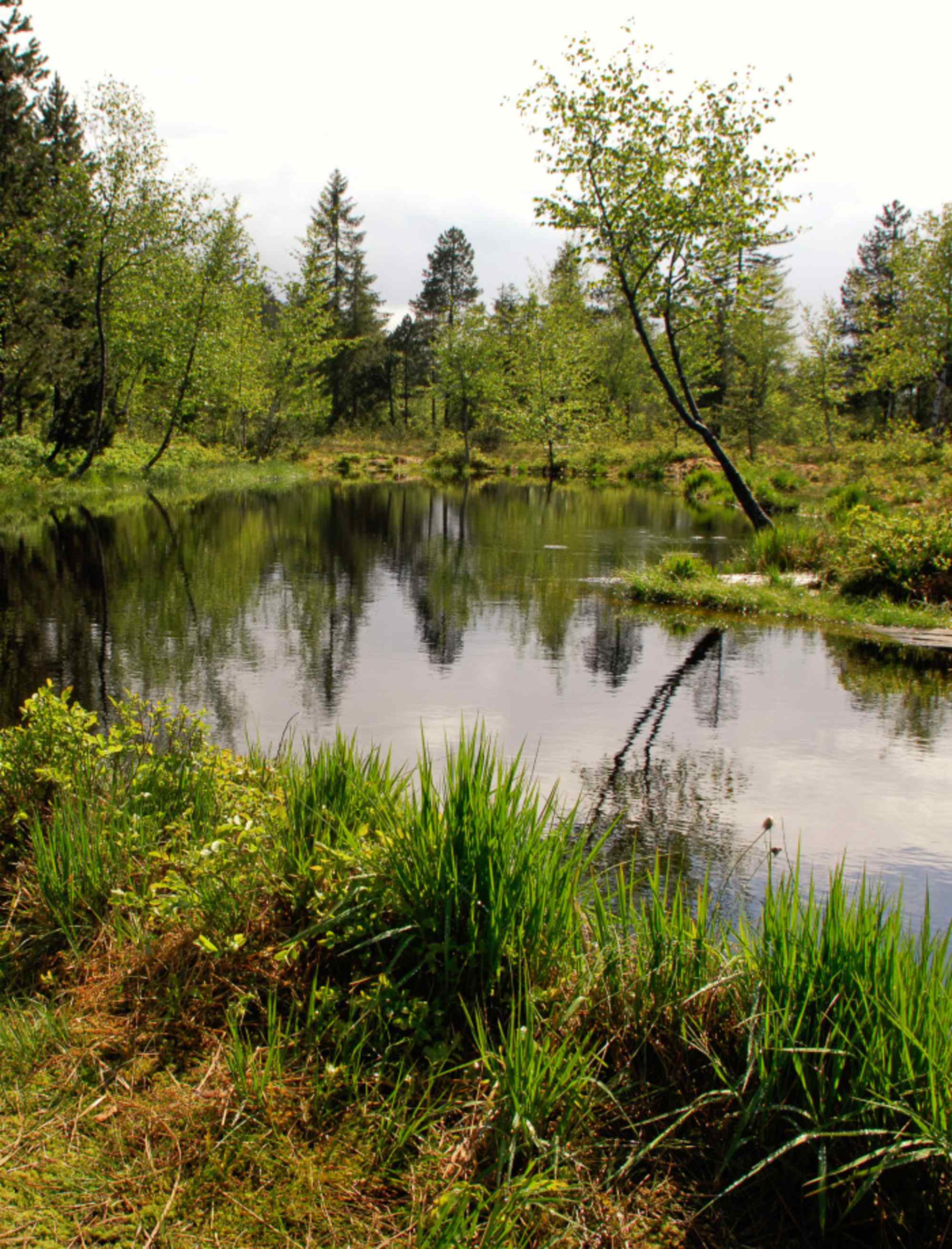 Wunderschöne Landschaft