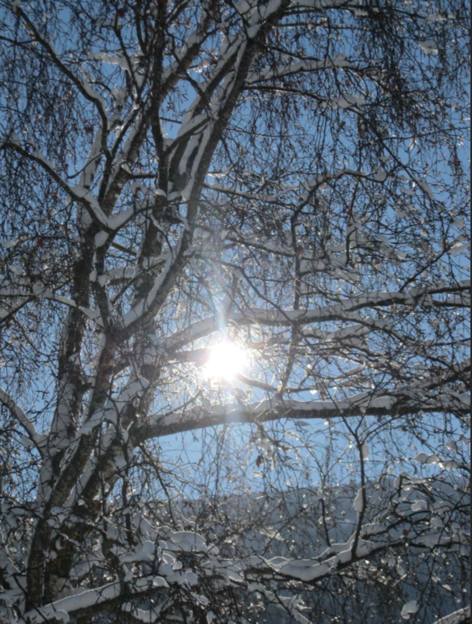 Winterliche Impressionen