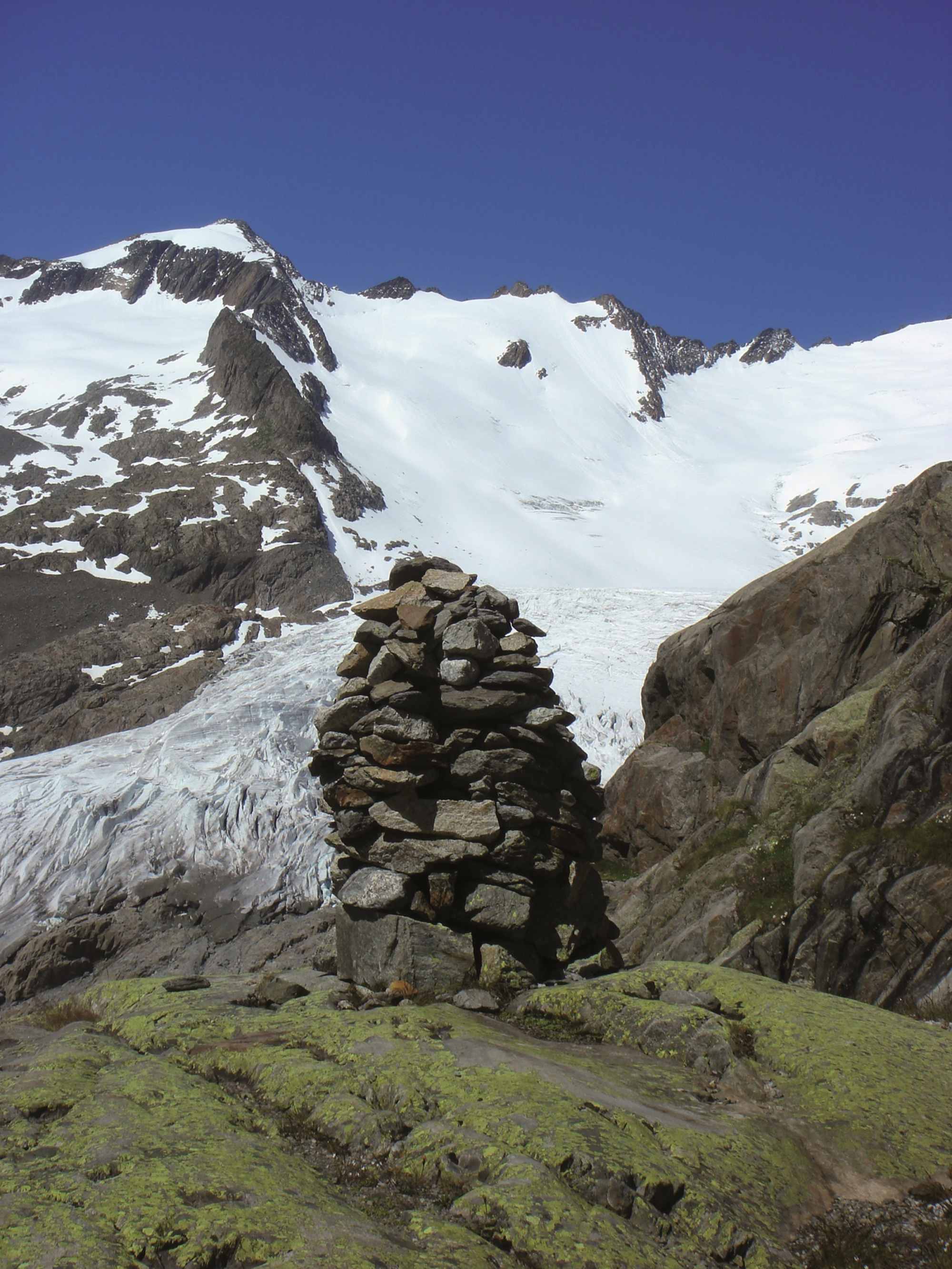 Ewigschneehorn
