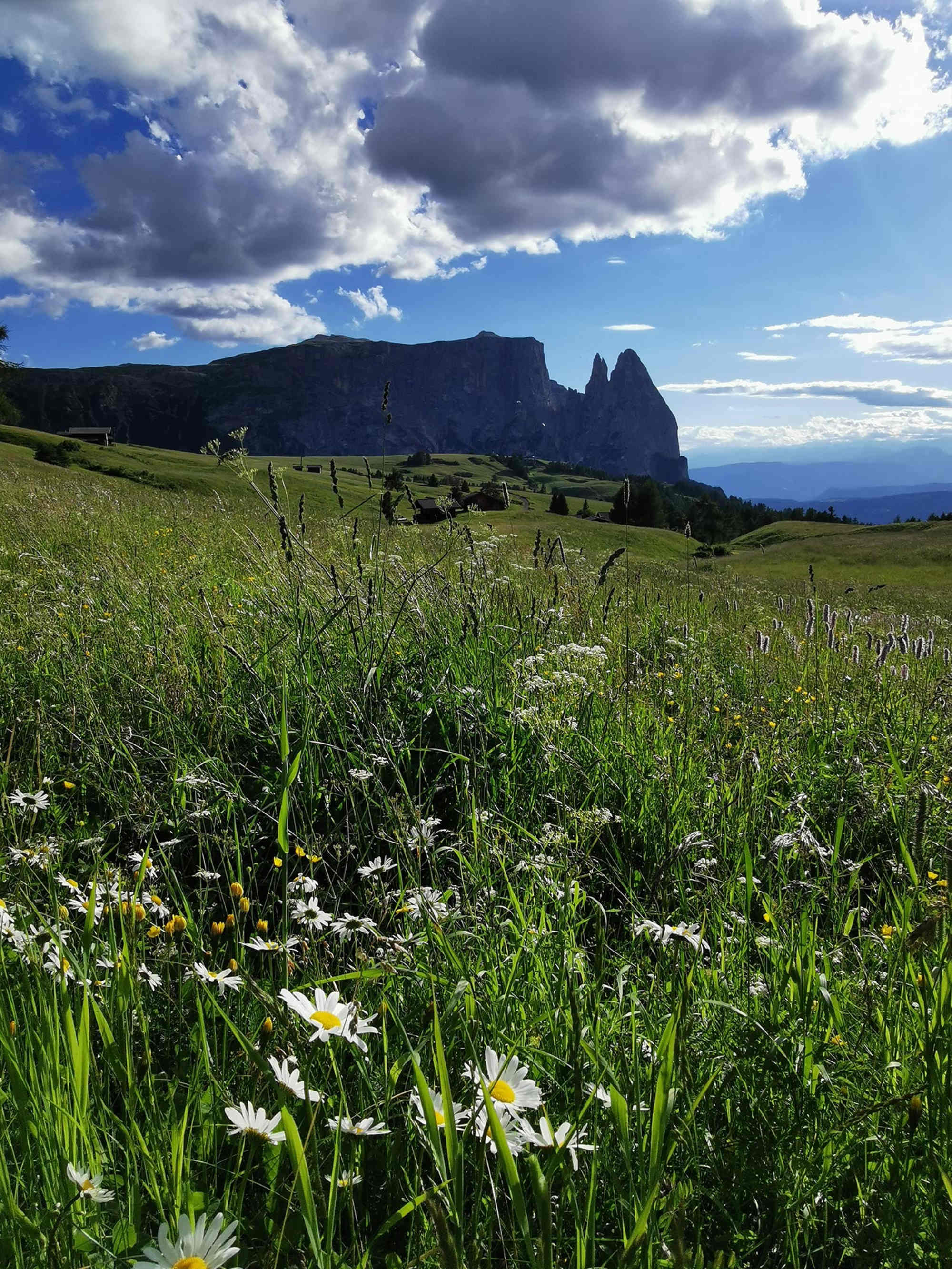 Seiser Alm