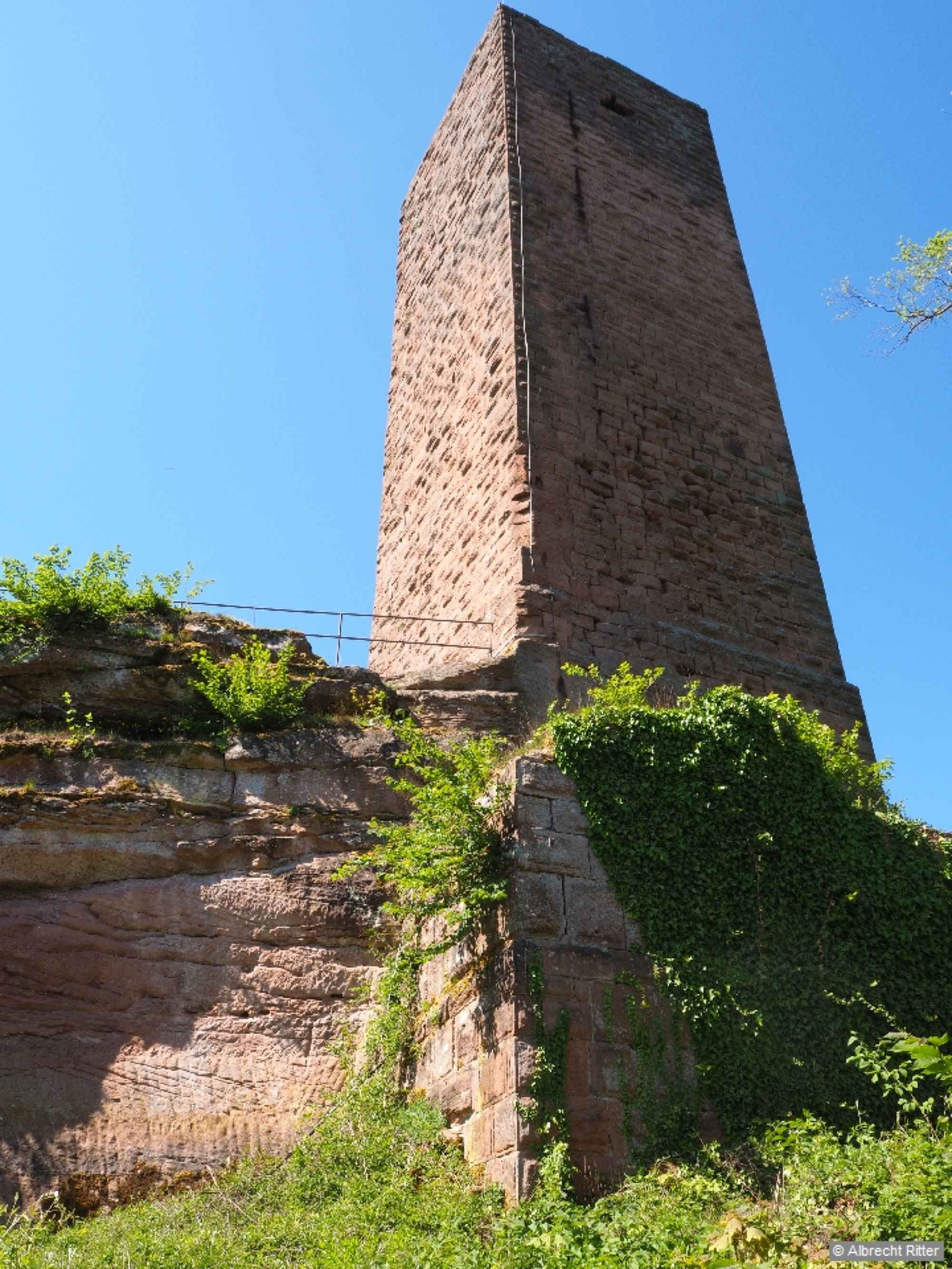 Der mächtige Bergfried der Burgruine Scharfenberg, die auch unter dem Namen Münz bekannt ist.