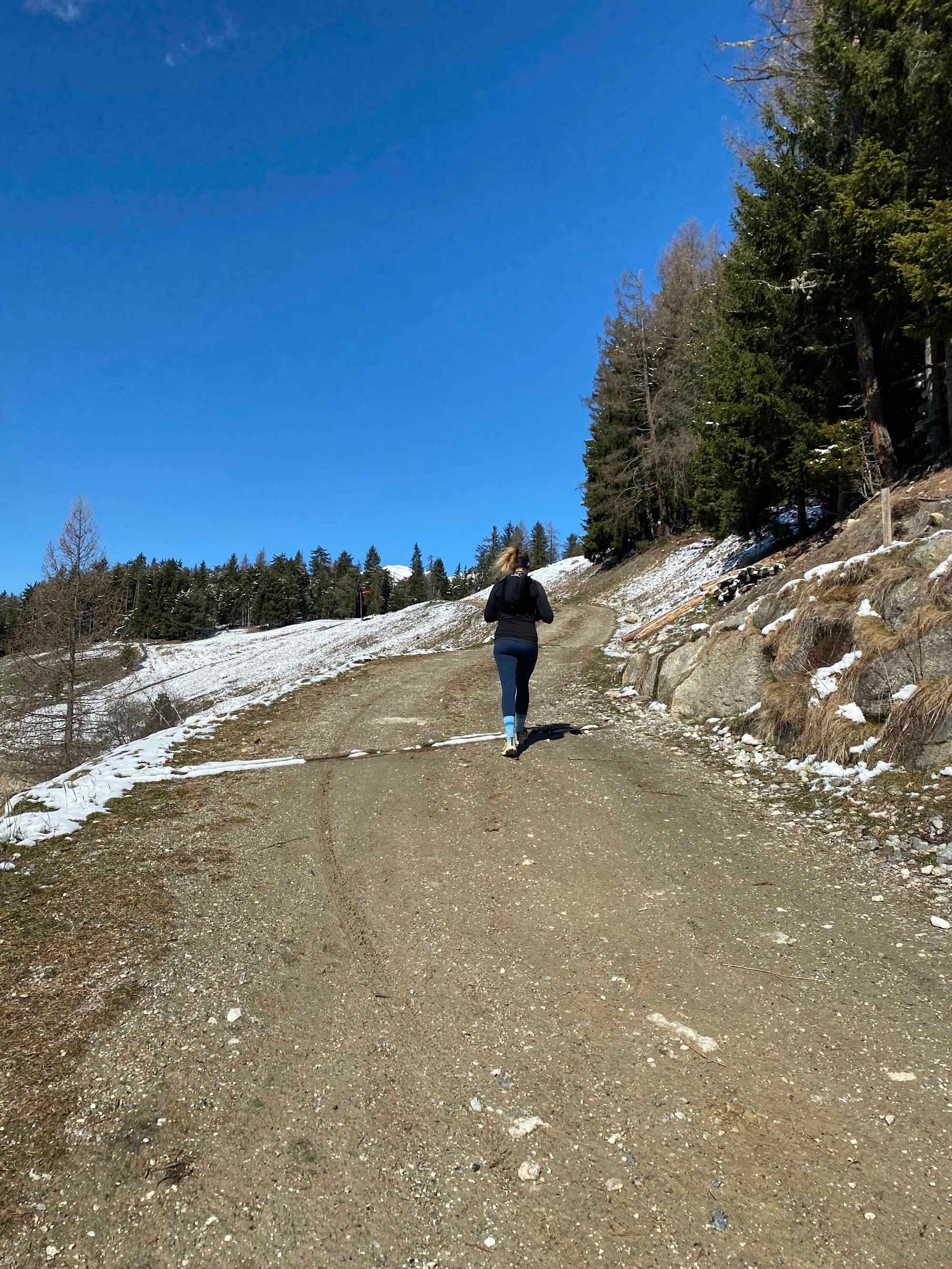 Auf den Sambock gelangt man entweder auf der Forststraße oder über einen Wanderweg. 