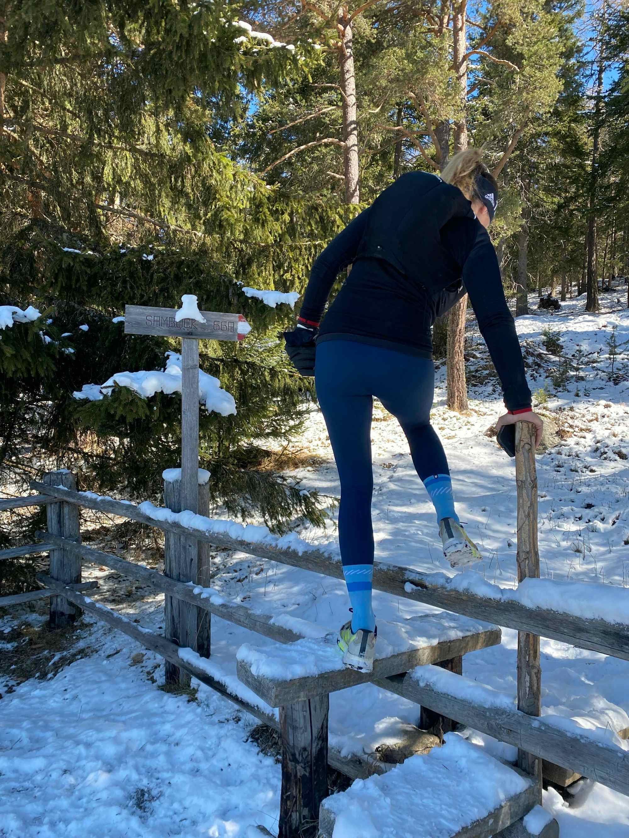 Ein schöner Waldweg führt hinauf auf den Samböck