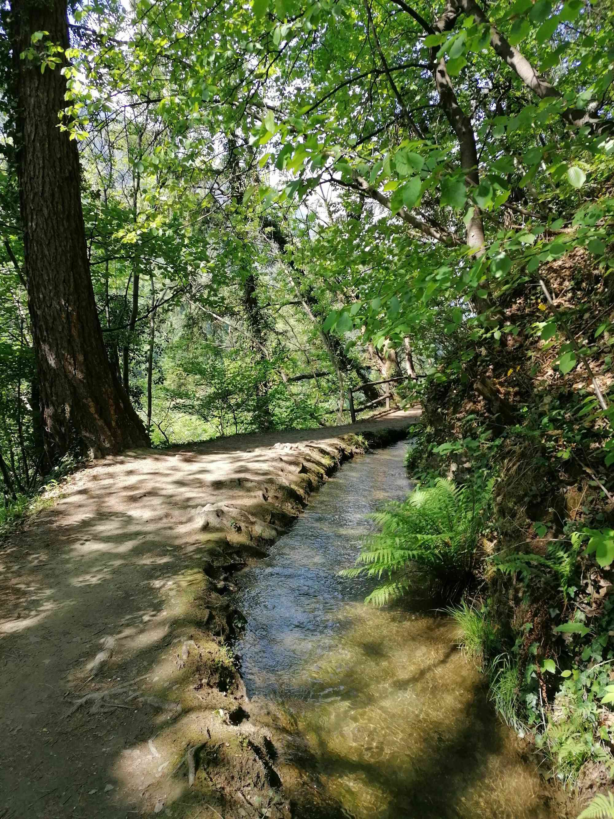 Am Waalweg