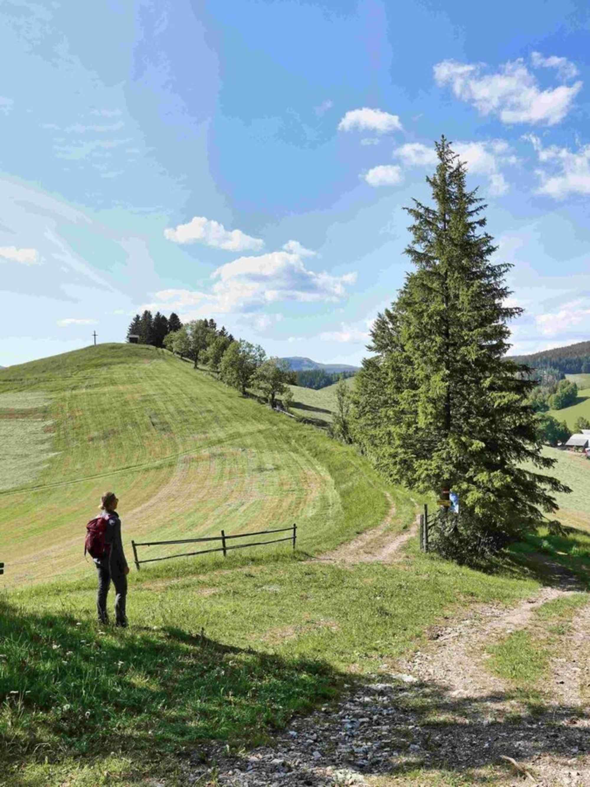 Am Patscha-Weg, Naturpark Almenland