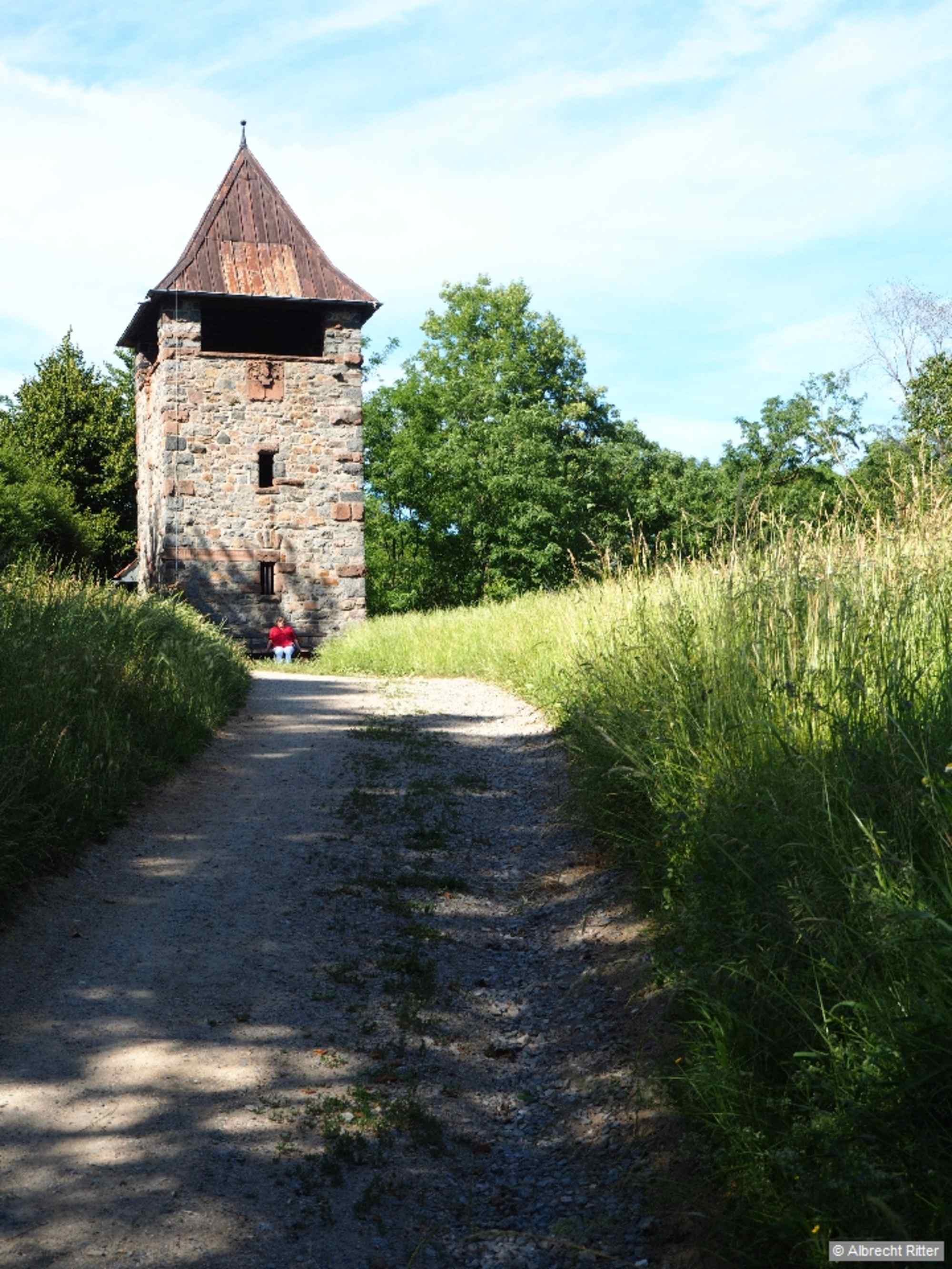 An der T-Kreuzung wandern wir nach links und behalten den Weg oberhalb der Weinberge bei. Ein kleiner Abstecher nach rechts führt zum Luginsland.