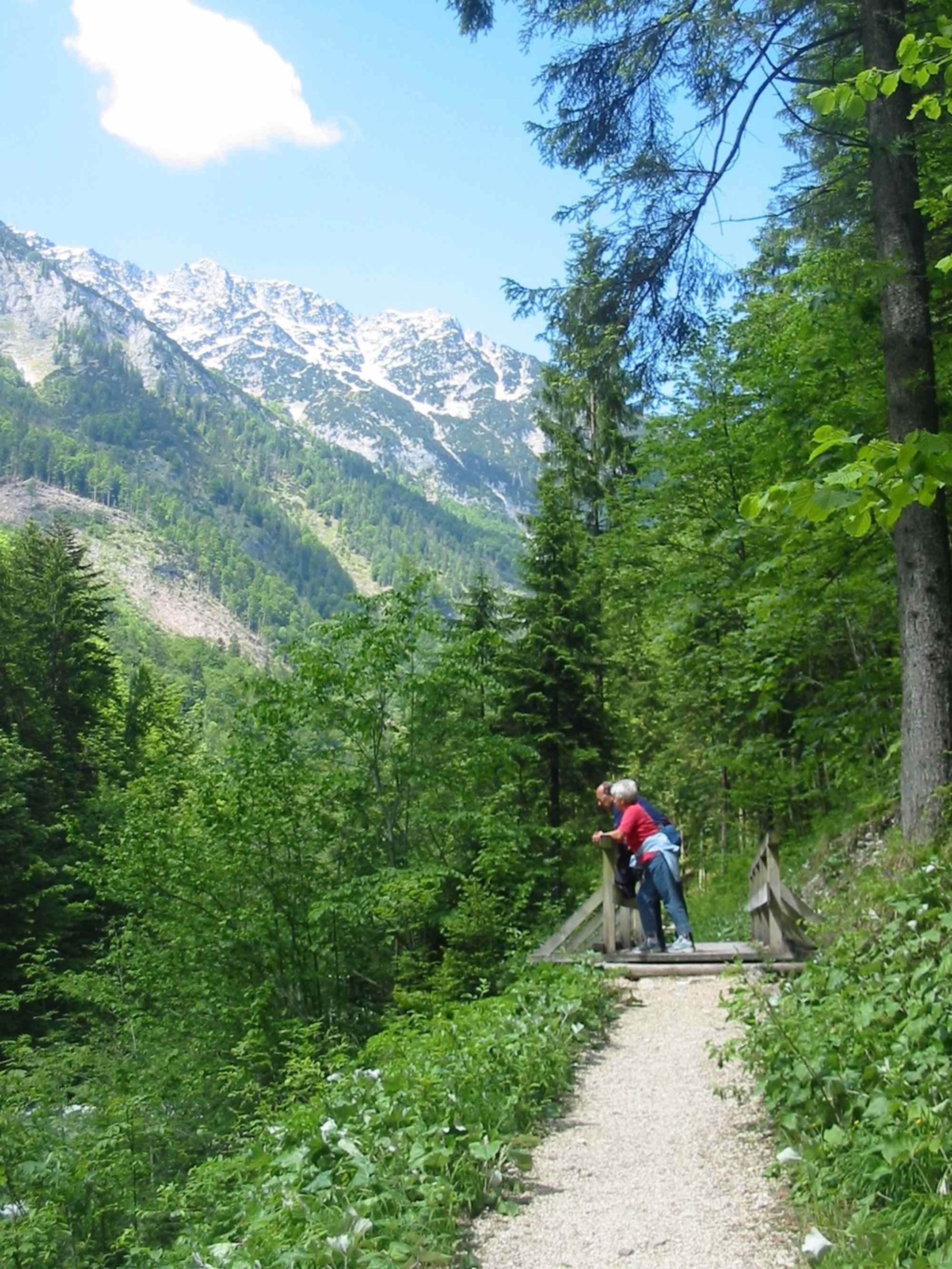 Am Koppentalwanderweg