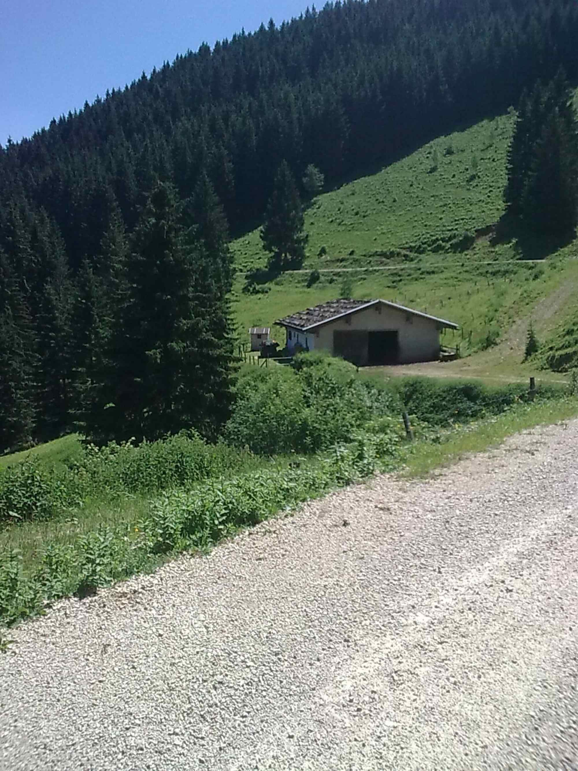 Bairer Alm