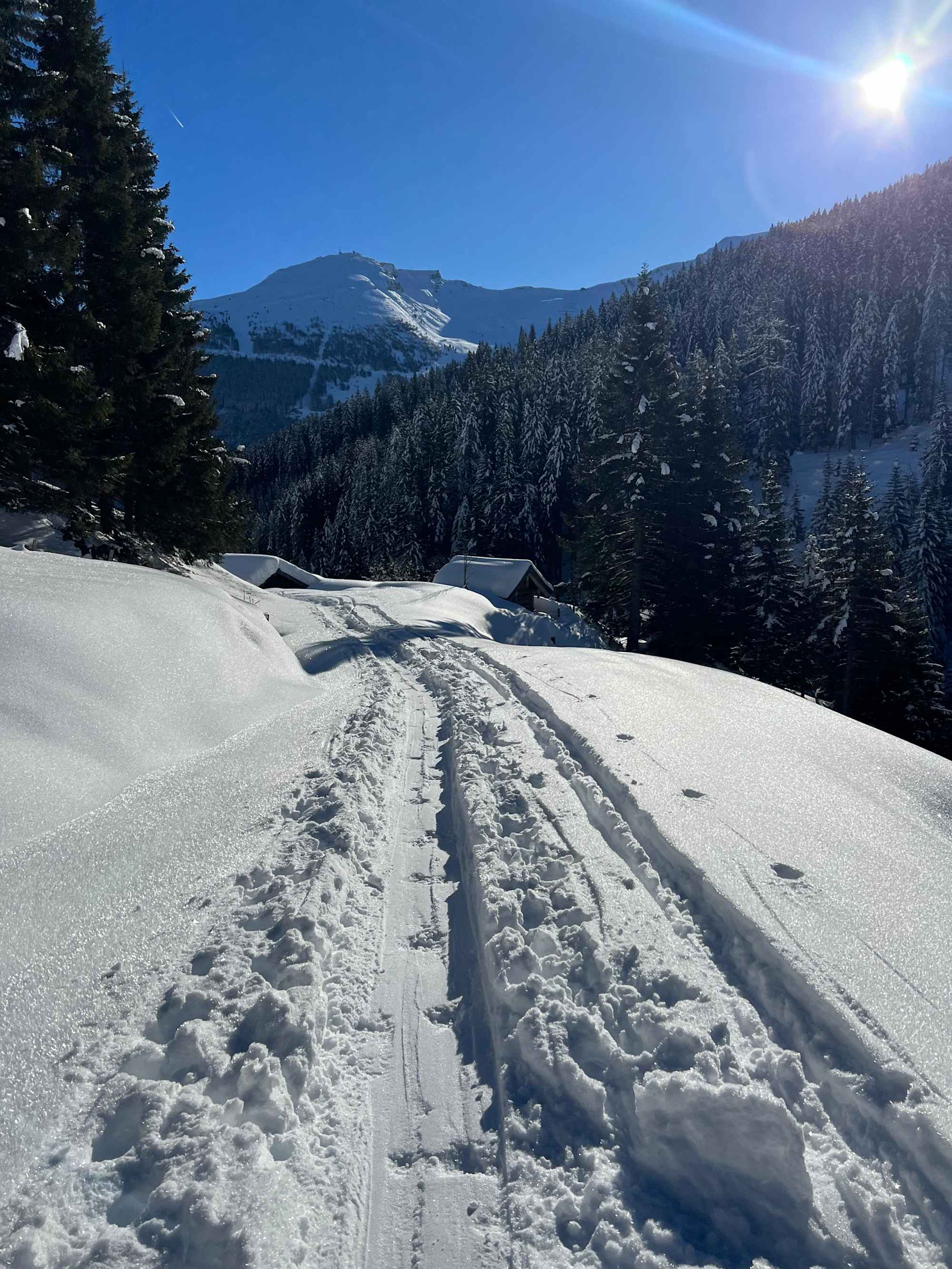 Skitour auf den Kalkbretterkopf