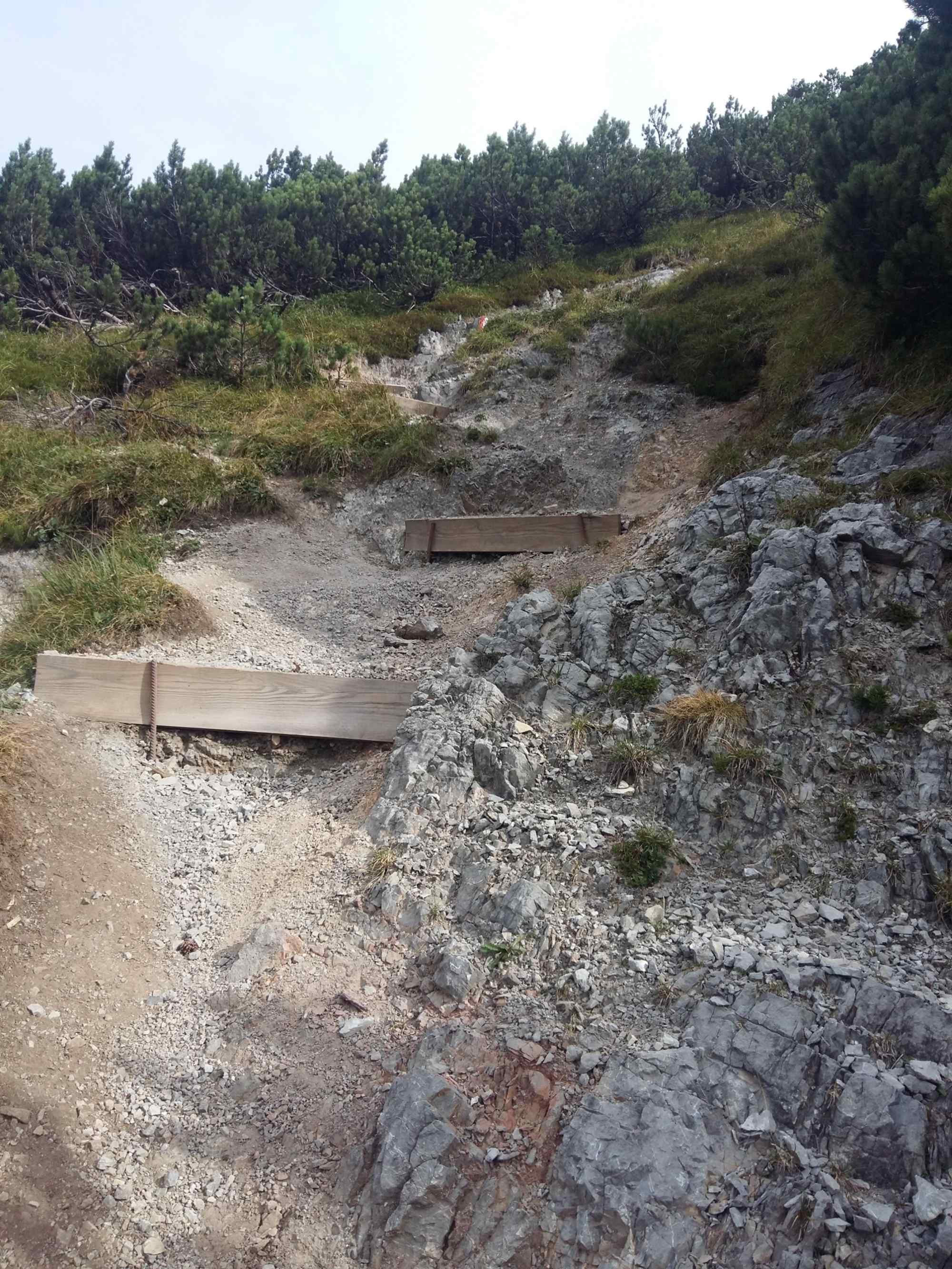 Schotterweg durch das Latschengebiet