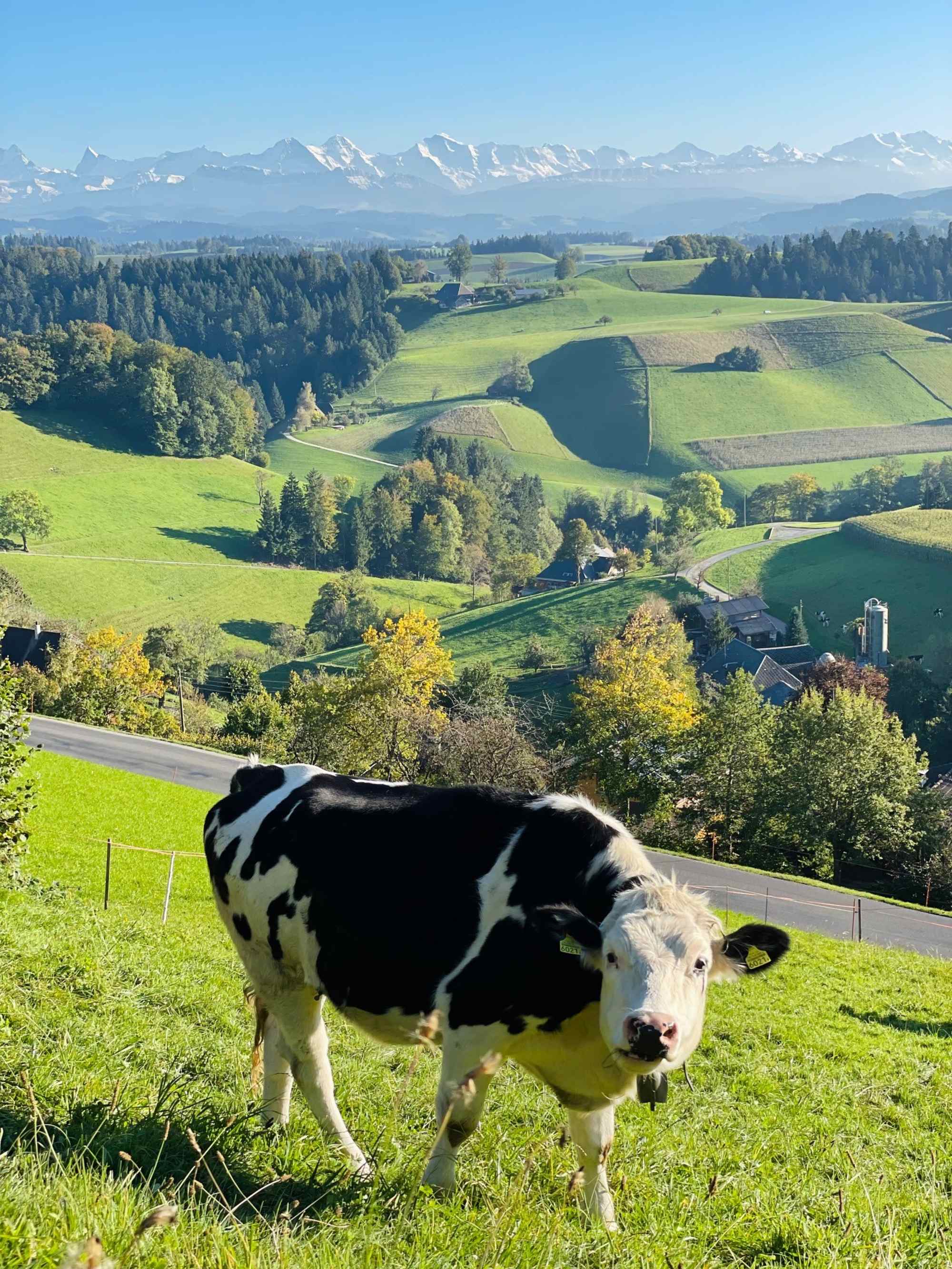 Herbst